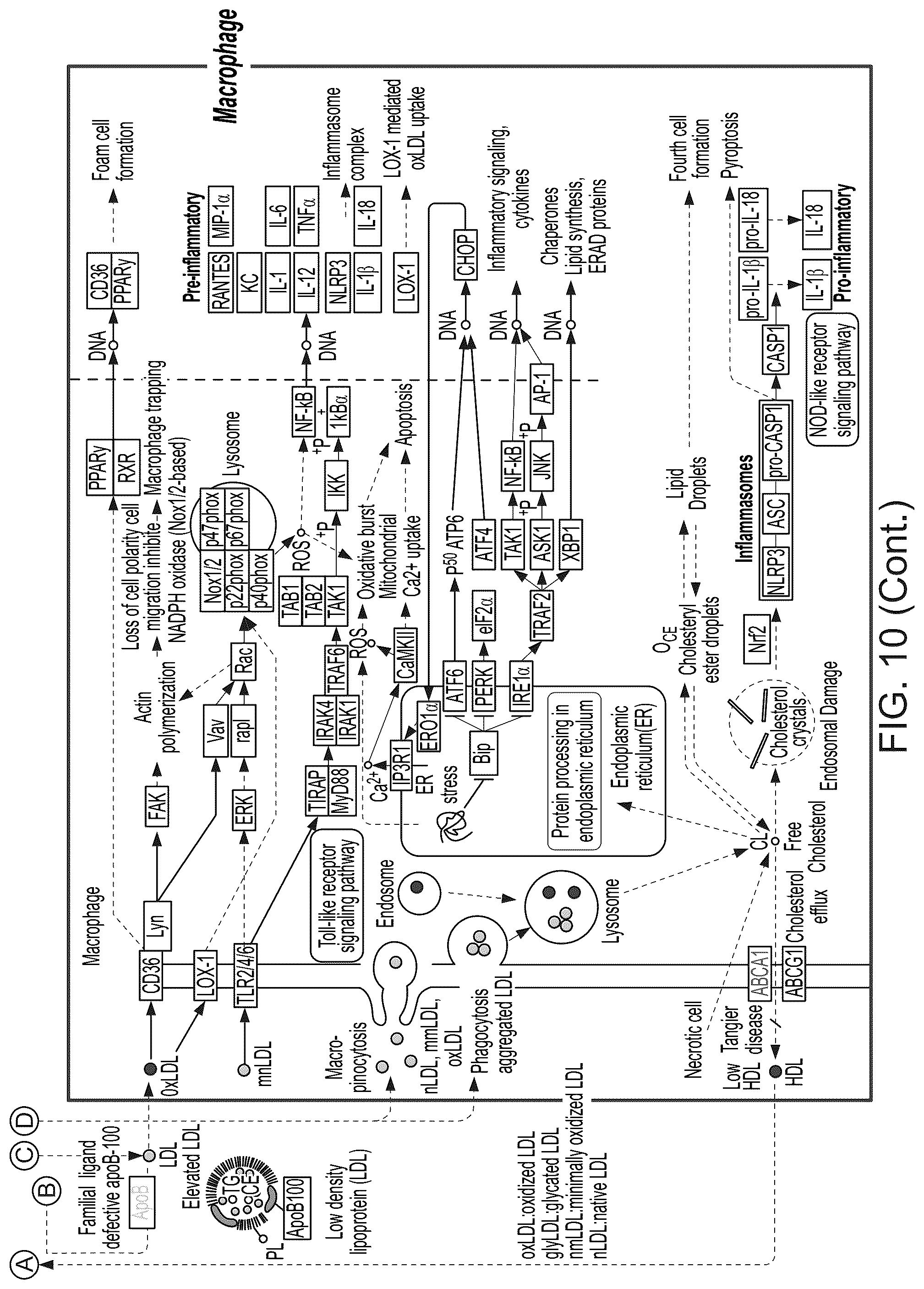 Patent US12100149 Figure 17 – Determining likely response to combination therapies for cardiovascular disease non-invasively