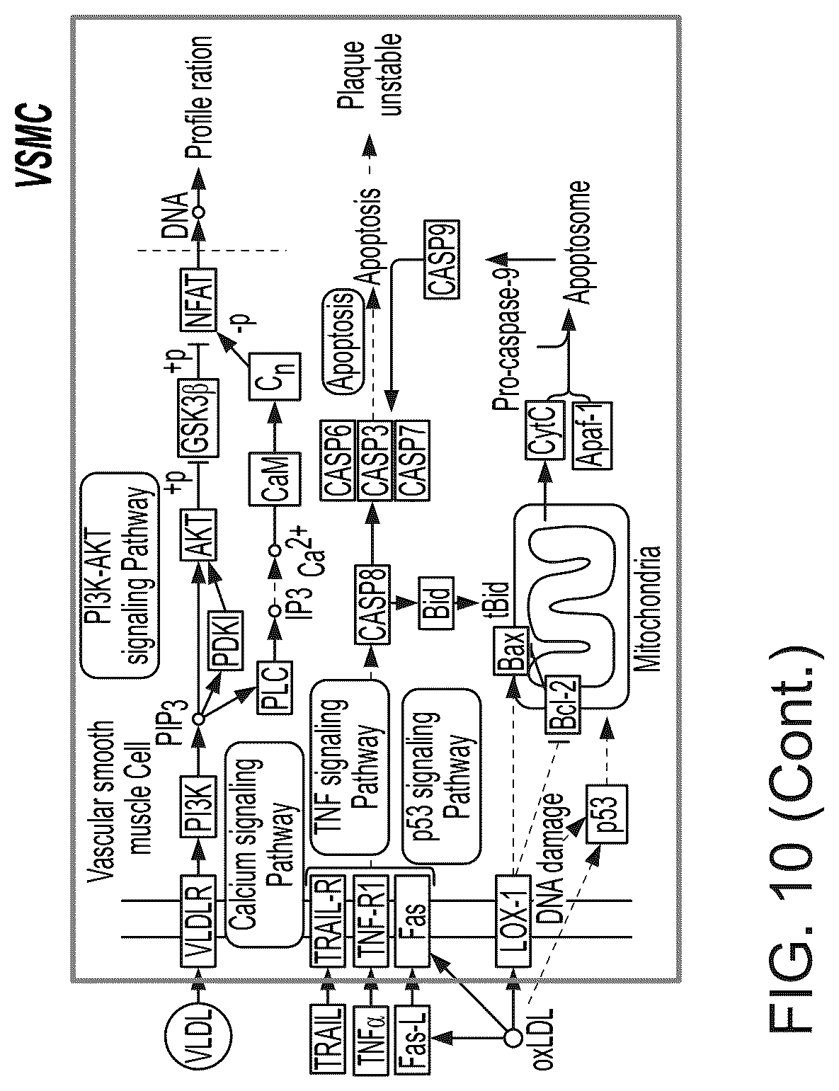 Patent US12100149 Figure 18 – Determining likely response to combination therapies for cardiovascular disease non-invasively