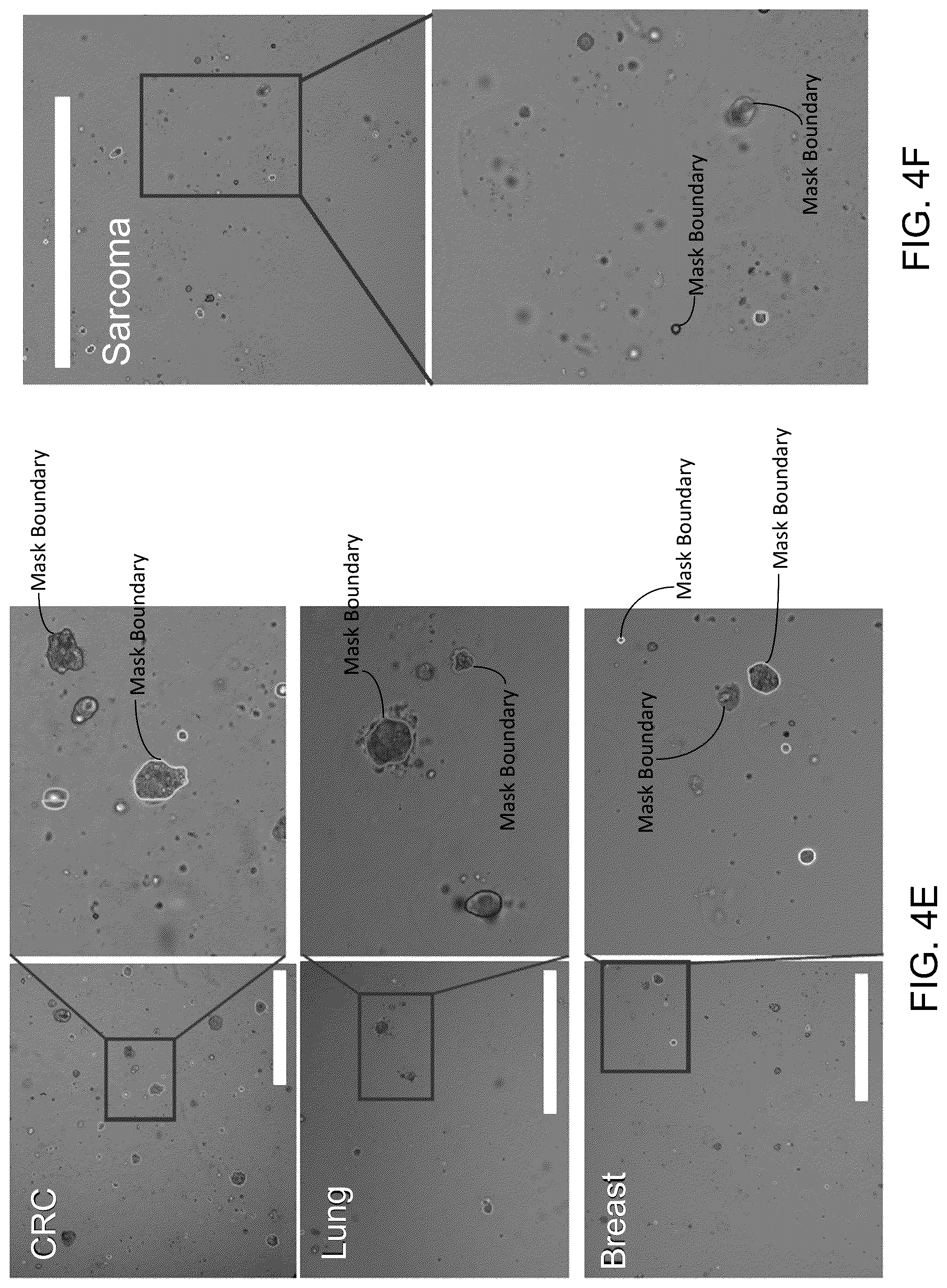 Patent US12100151 Figure 6 – Droplet imaging pipeline