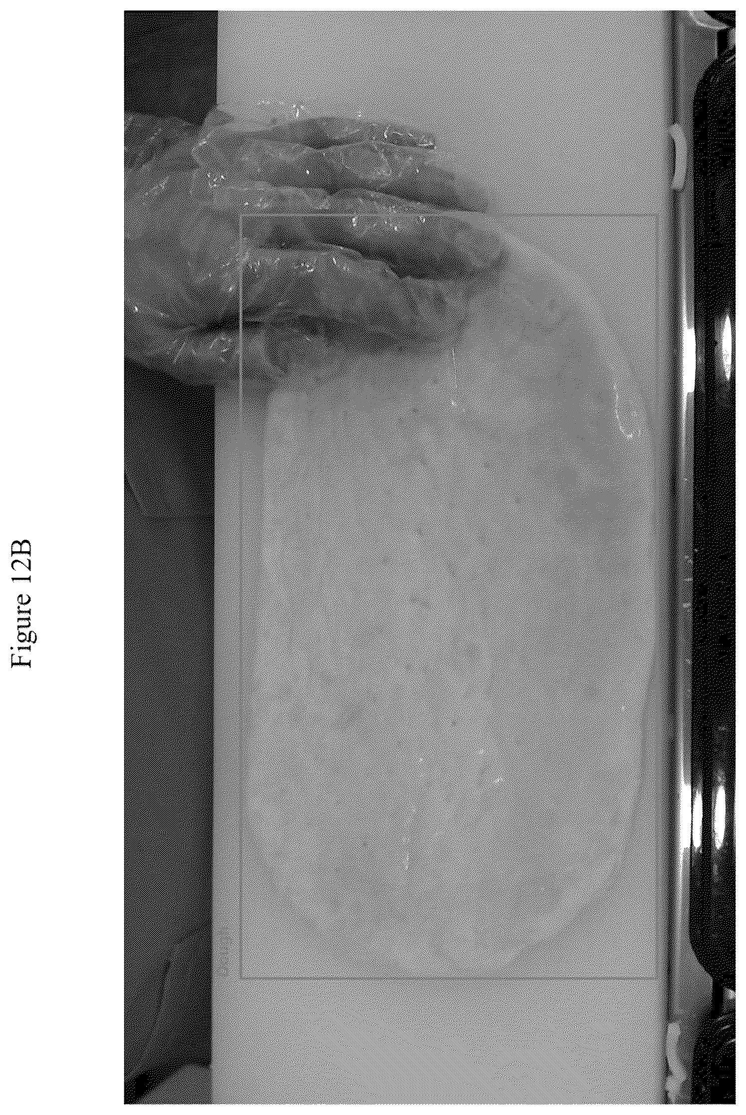 Patent US12100208 Figure 19 – Method for pizza preparation