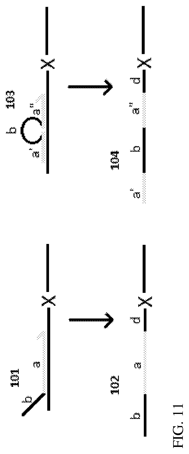 Patent US12100478 Figure 6 – Method for non-invasive prenatal testing using parental mosaicism data