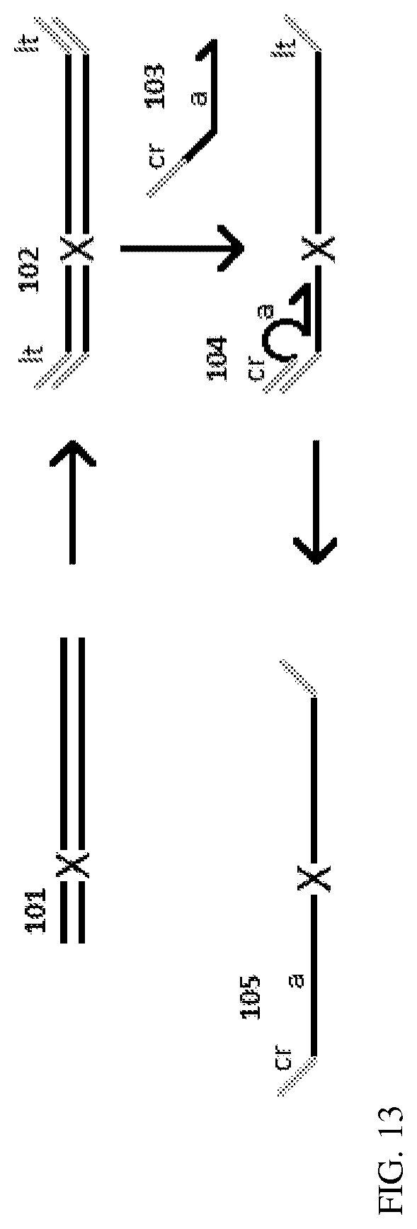 Patent US12100478 Figure 8 – Method for non-invasive prenatal testing using parental mosaicism data