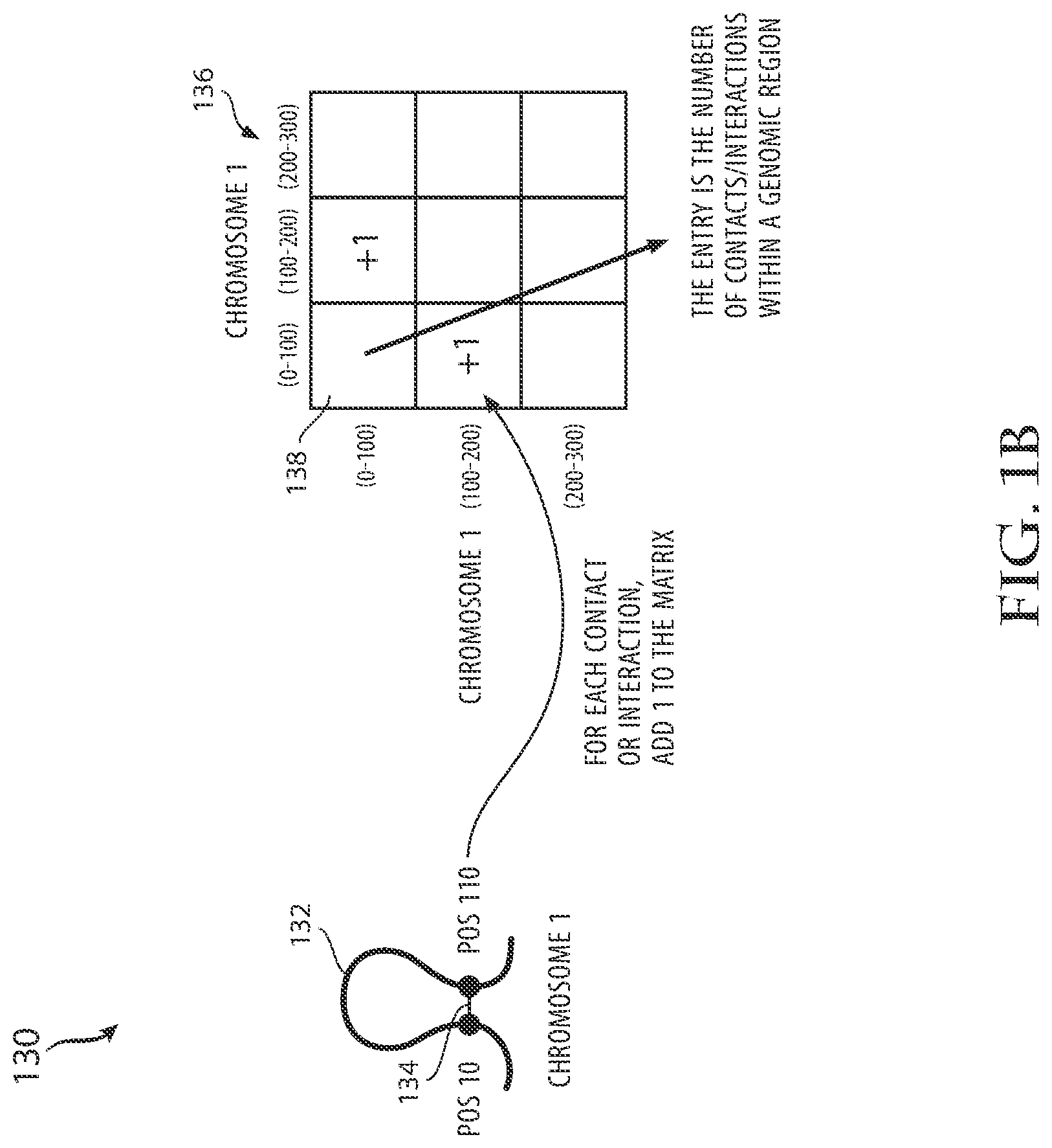 Patent US12100481 Figure 2 – System and method of efficient coding and decoding of contact matrices