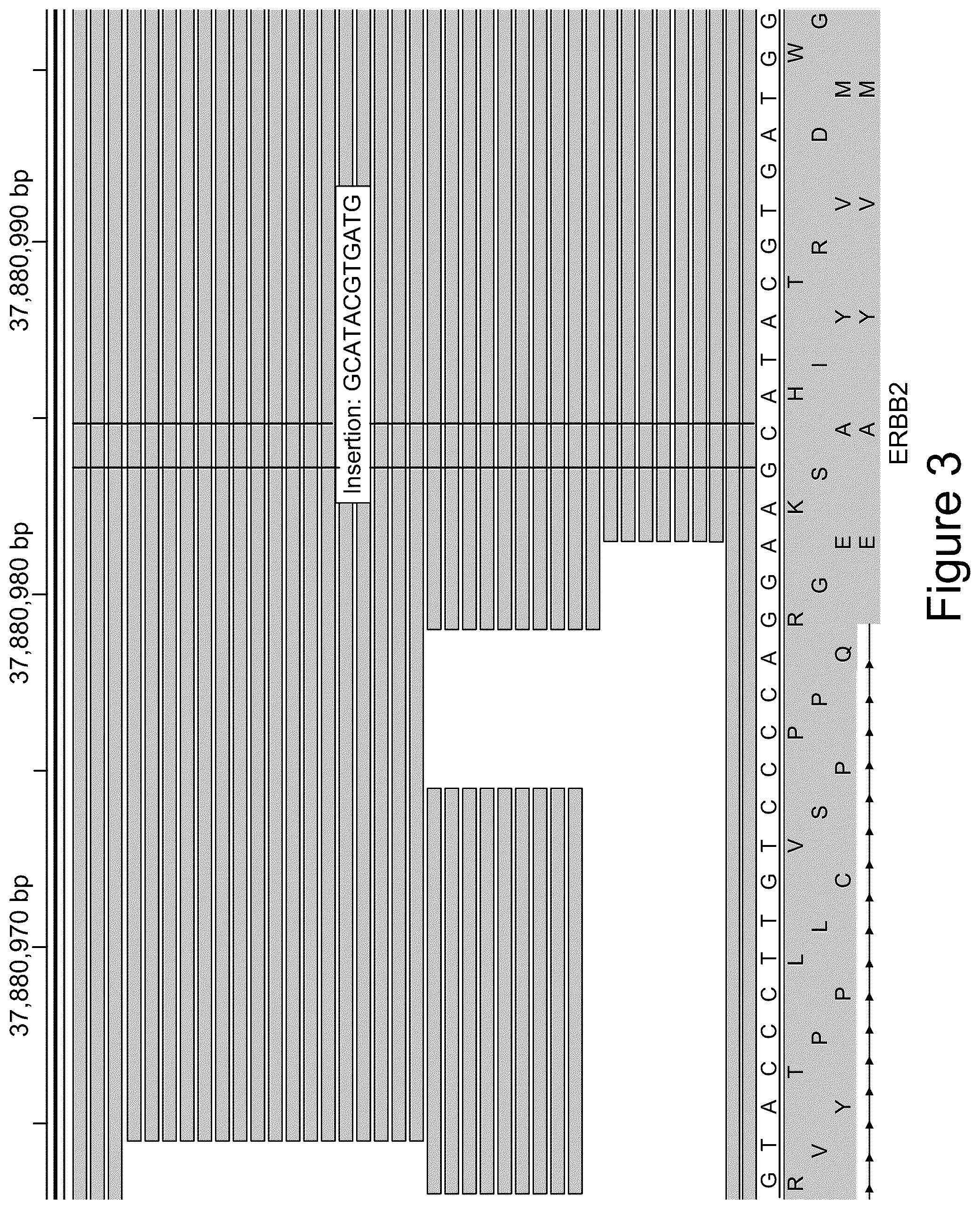 Patent US12100482 Figure 3 – Methods for multi-resolution analysis of cell-free nucleic acids