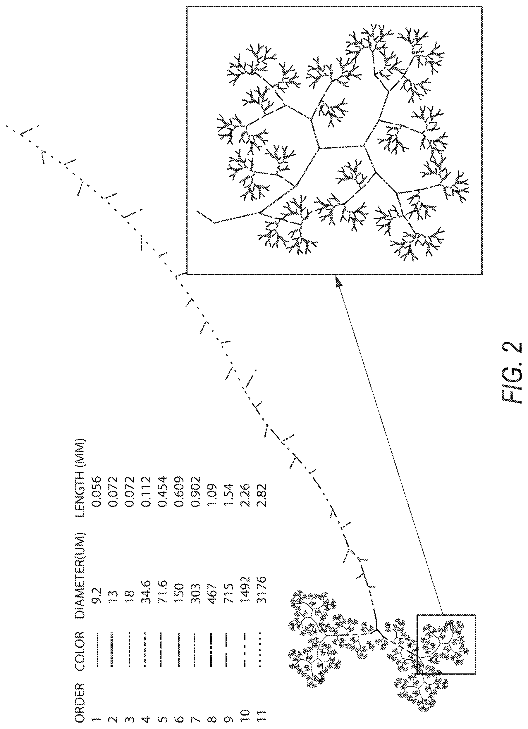 Patent US12100516 Figure 2 – Microfluidic coronary circulatory model