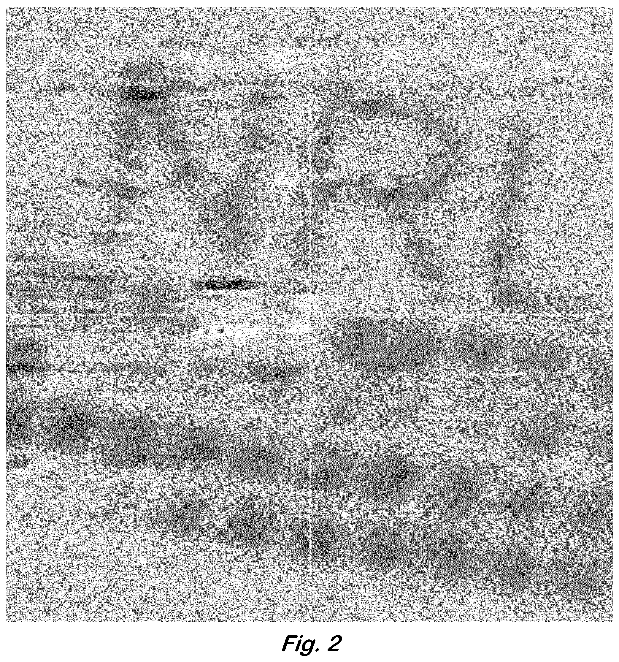 Patent US12100539 Figure 2 – Pattern writing of magnetic order using ion irradiation of a magnetic phase transitional thin film