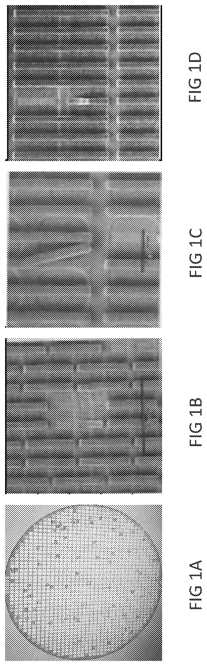 Patent US12100586 Figure 1 – Substrate cleaning method and apparatus