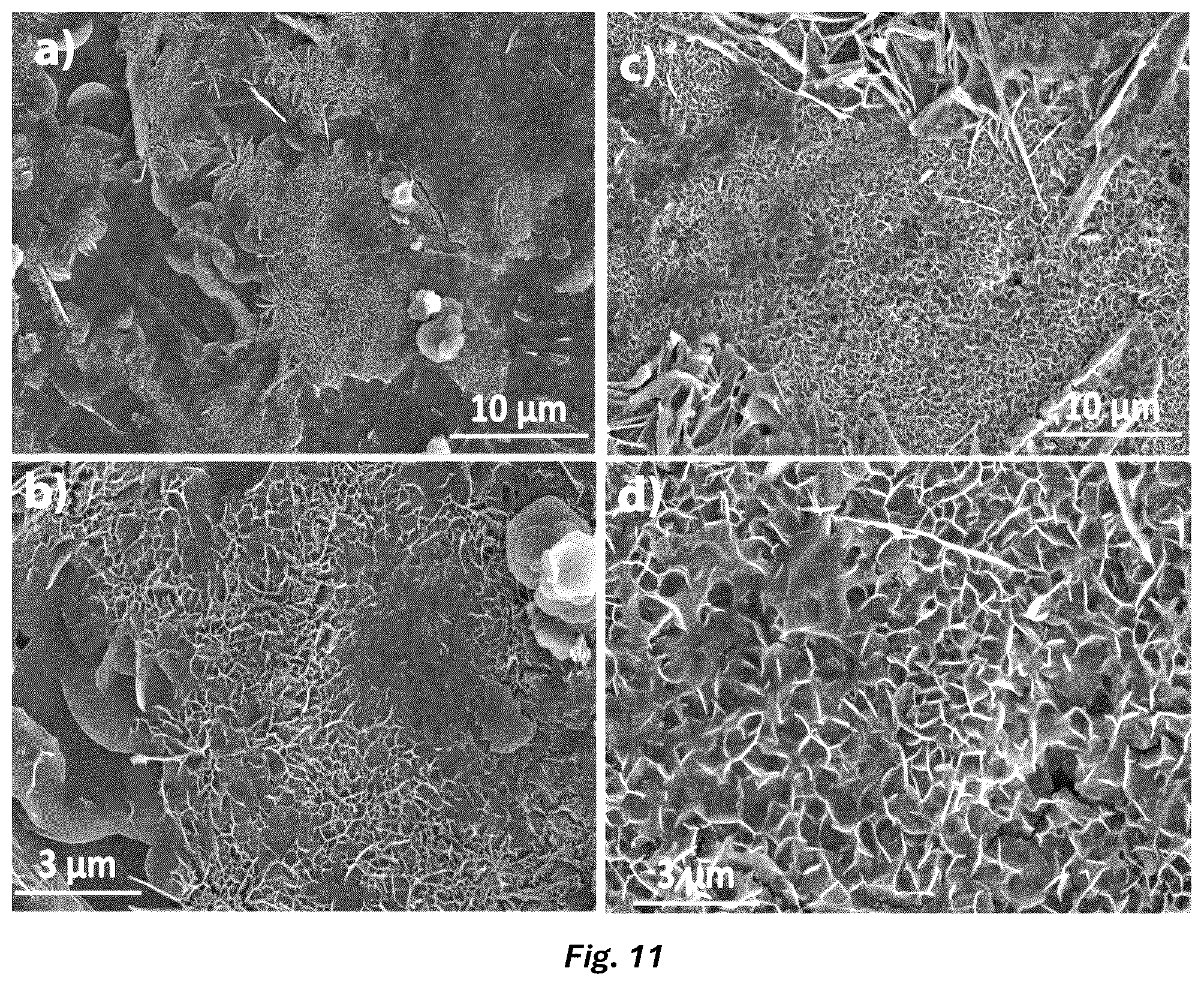 Patent US12100815 Figure 9 – Metal ion battery having ionomer membrane separator and free-standing electrode