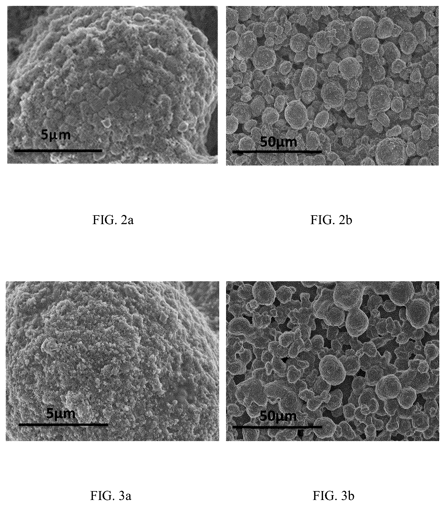 Patent US12100830 Figure 2 – Cathode additive and preparation method therefor, cathode electrode and preparation method therefor, and lithium ion battery