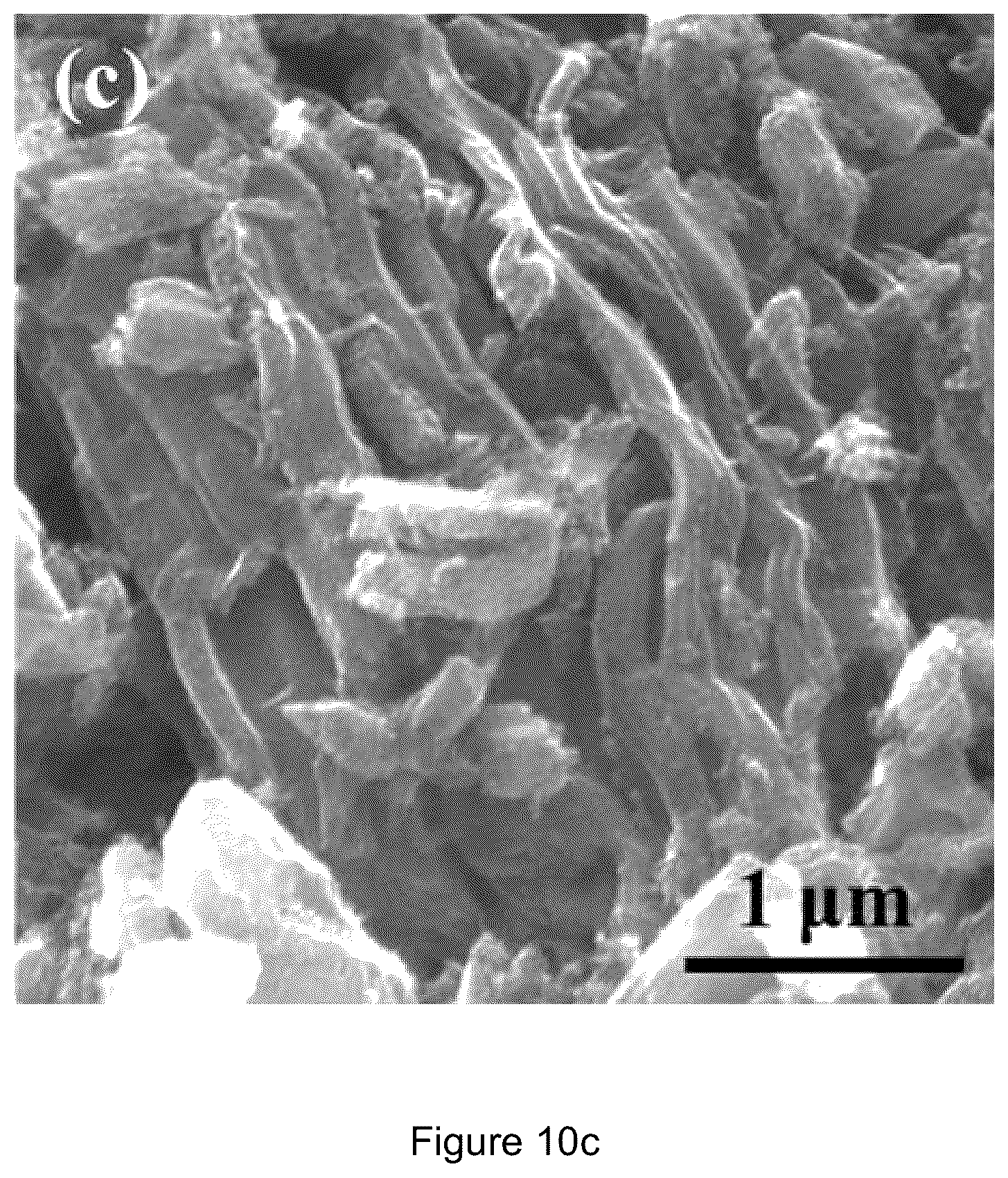 Patent US12100835 Figure 12 – Zinc-selenium battery compatible with both organic and aqueous electrolytes