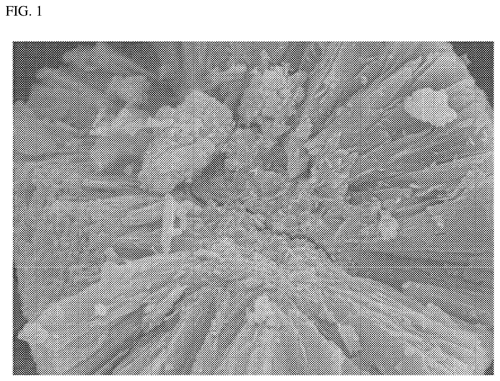 Patent US12100837 — Method of preparing positive electrode active material precursor and positive electrode active material precursor — Figure 1