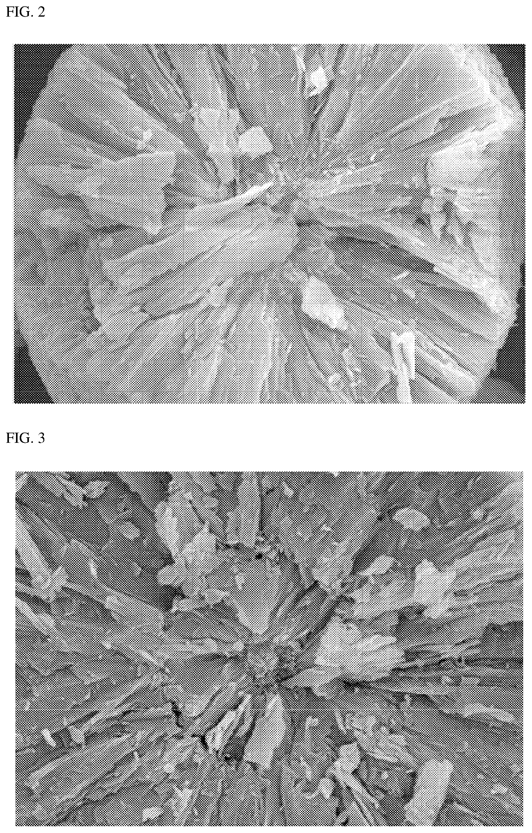 Patent US12100837 Figure 2 – Method of preparing positive electrode active material precursor and positive electrode active material precursor