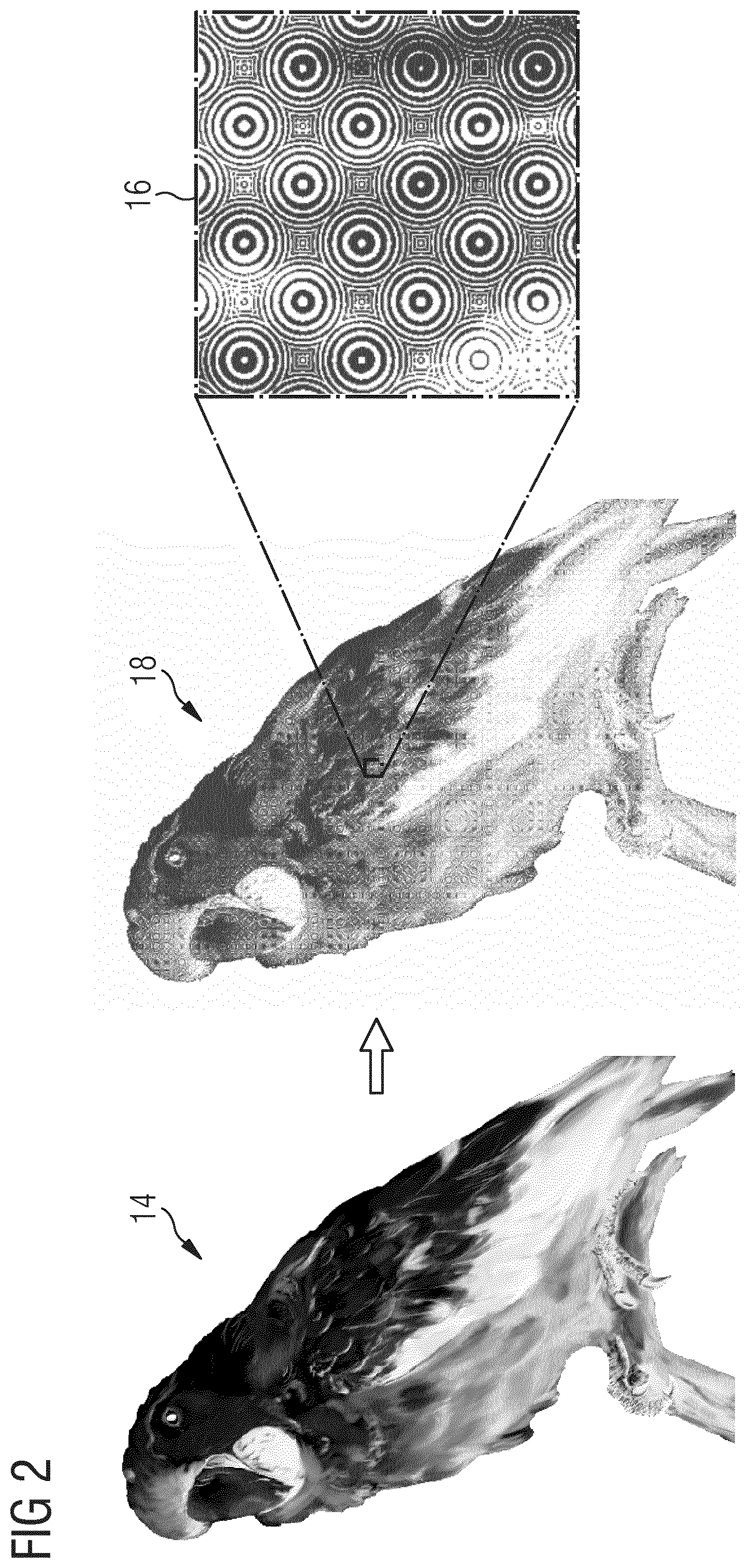 Patent US12101450 Figure 2 – Method of generating a secure image