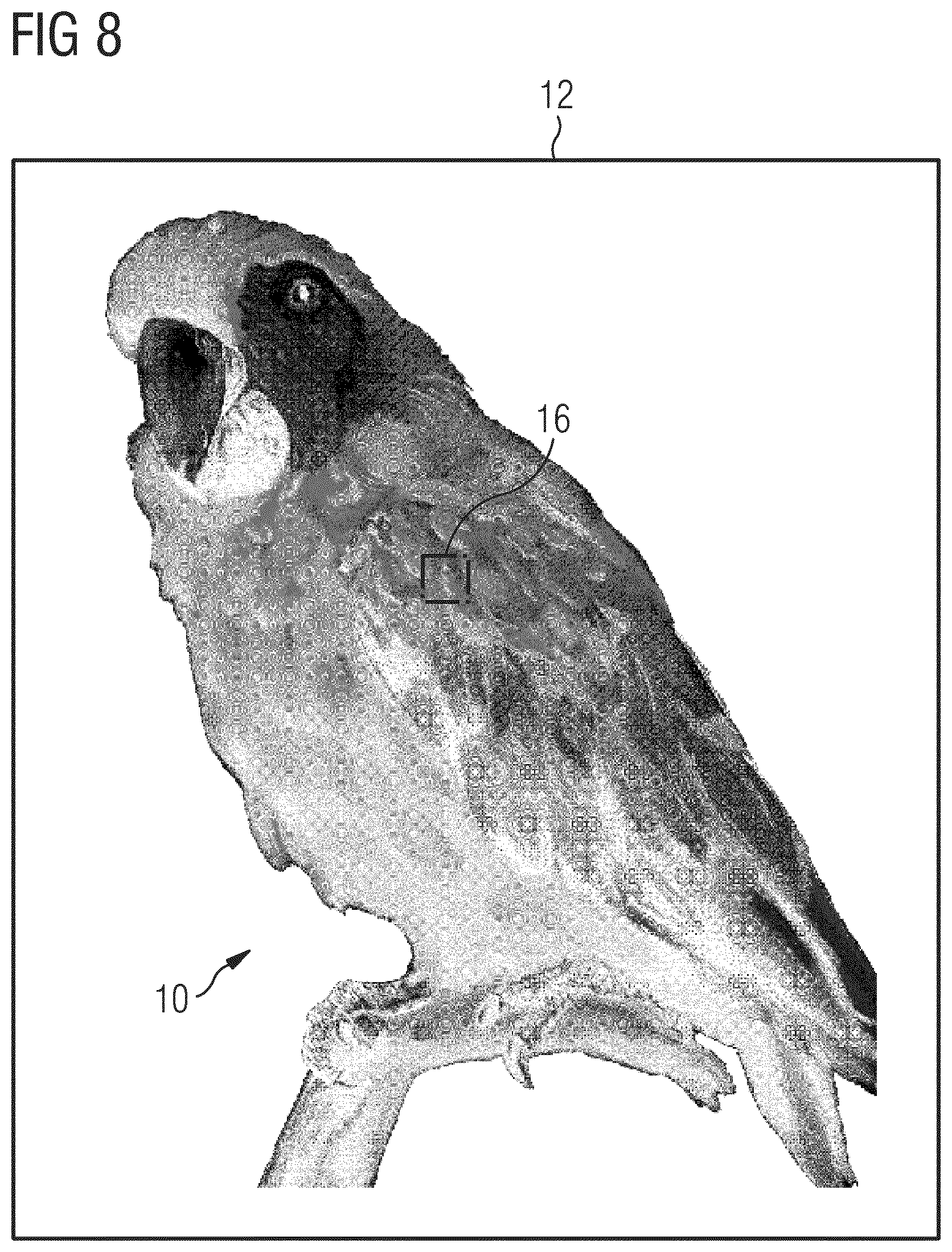 Patent US12101450 Figure 6 – Method of generating a secure image