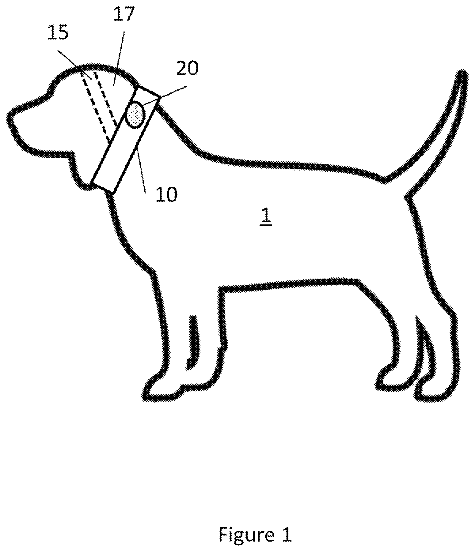 Patent US12101592 Figure 1 – Bone conduction hearing aid for canines