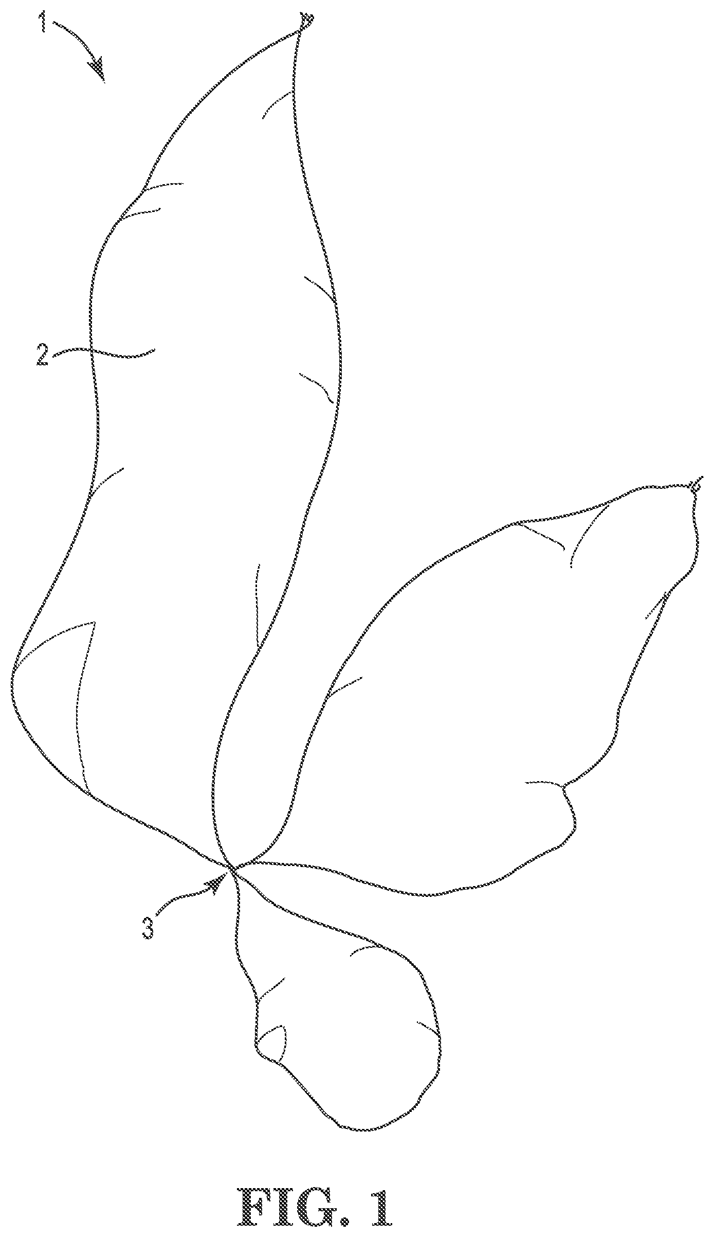 Patent US12102046 Figure 1 – Seaweed cultivation method and system
