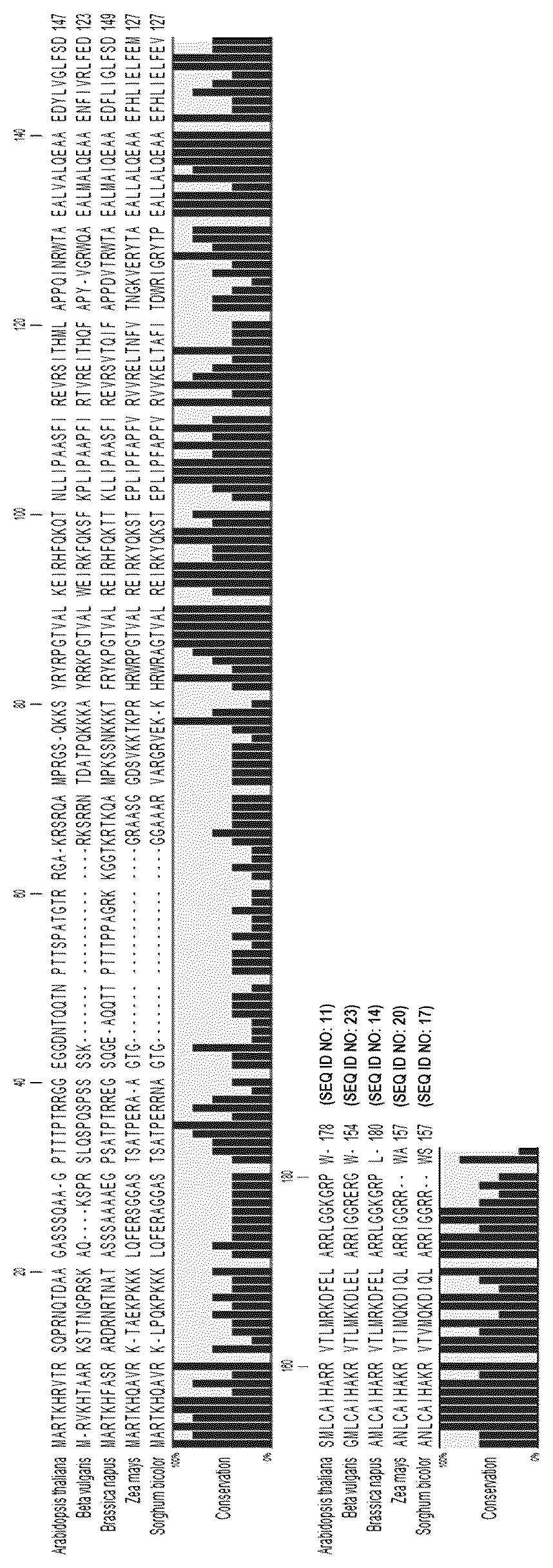 Patent US12102048 Figure 1 – Generation of haploid plants