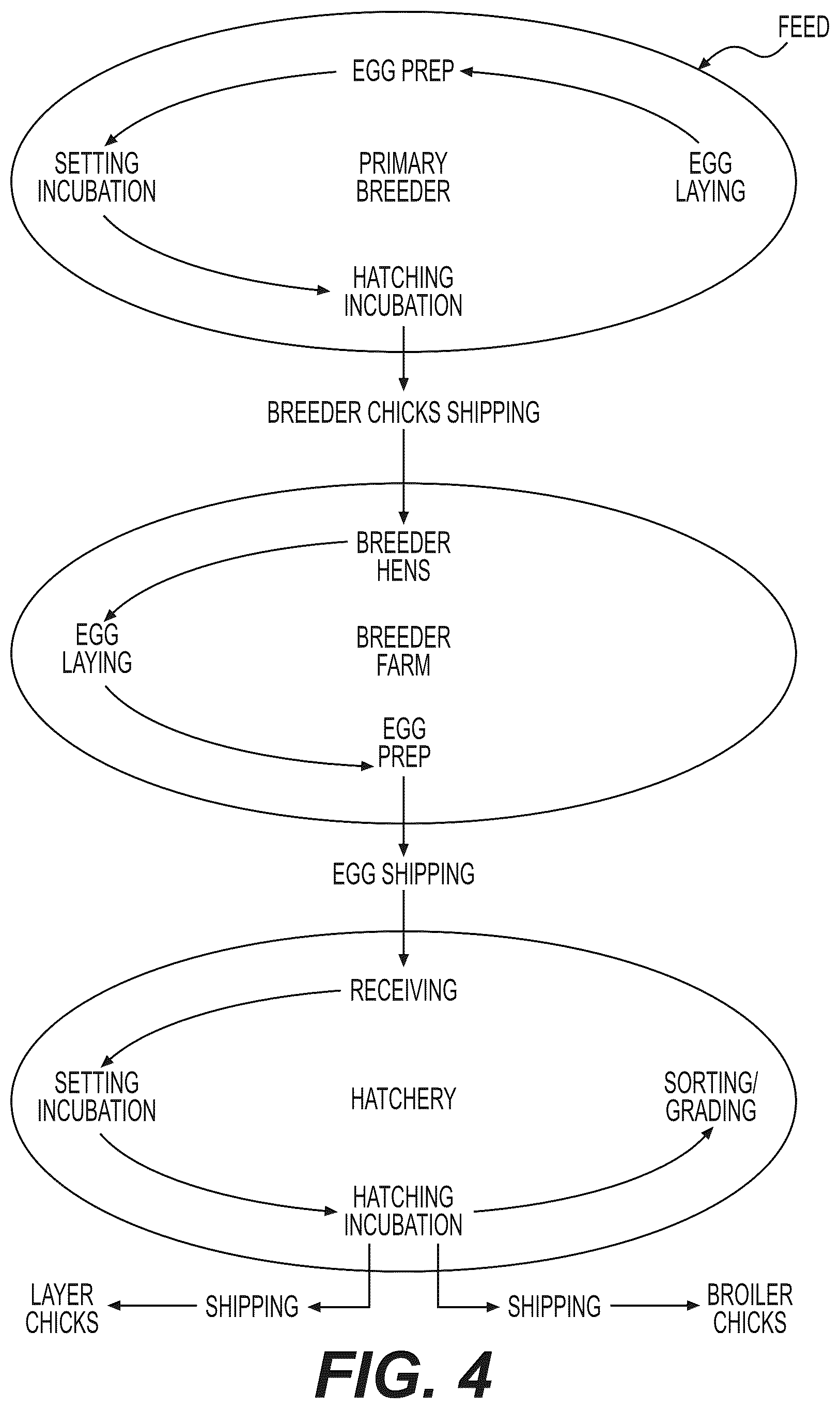Patent US12102063 Figure 4 – Application of Dry Hydrogen Peroxide (DHP) gas to methods of poultry production