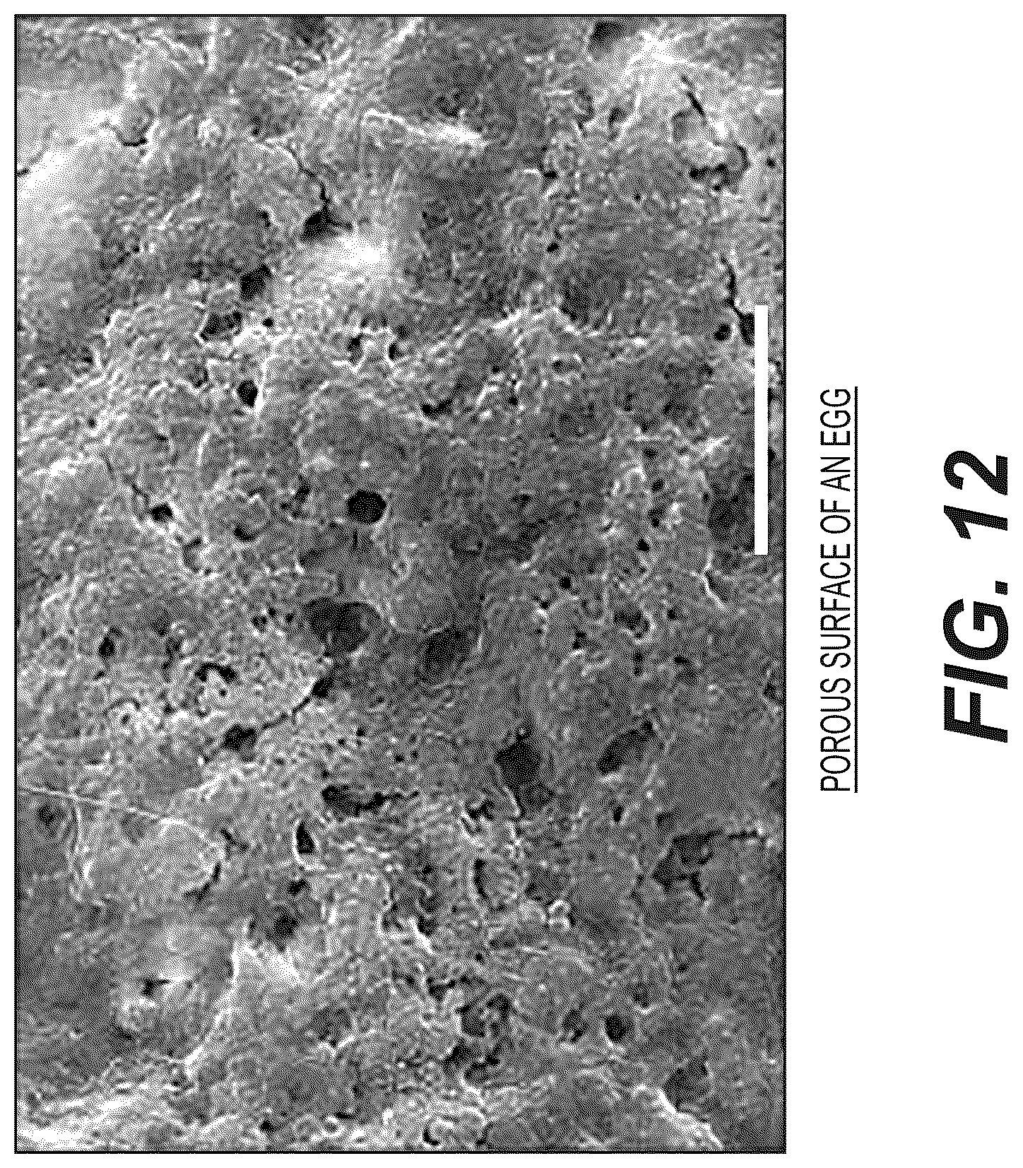 Patent US12102063 Figure 15 – Application of Dry Hydrogen Peroxide (DHP) gas to methods of poultry production