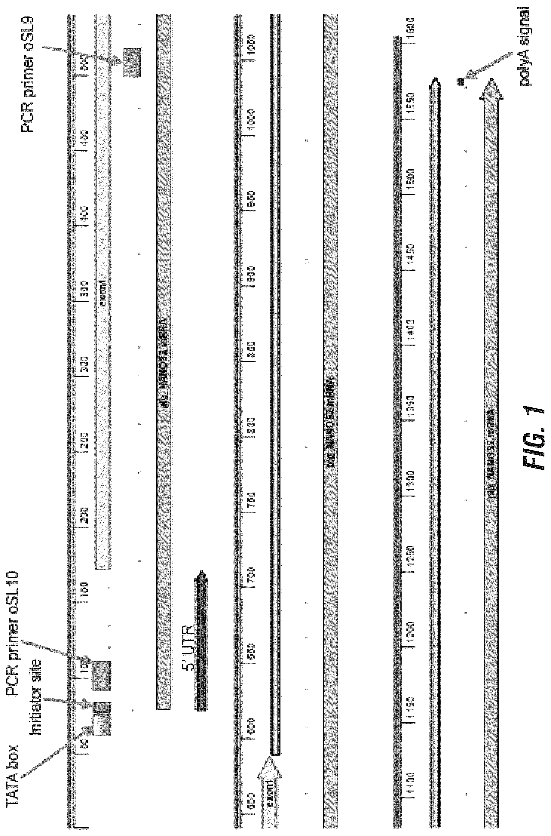 Patent US12102069 Figure 1 – 
