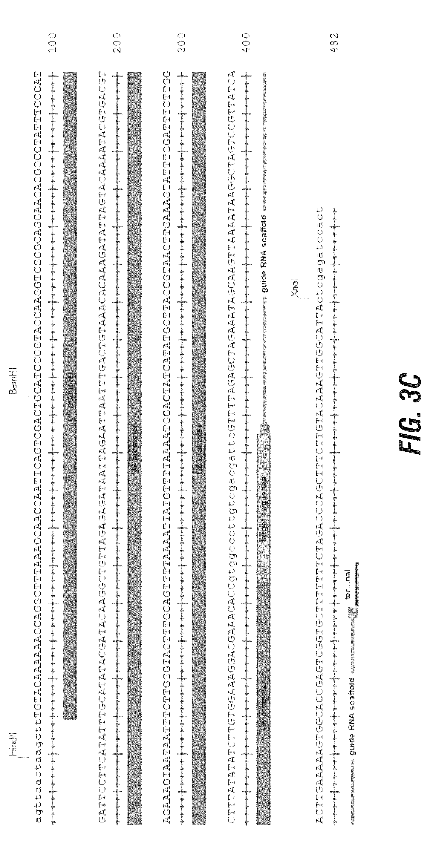 Patent US12102069 Figure 4 – 