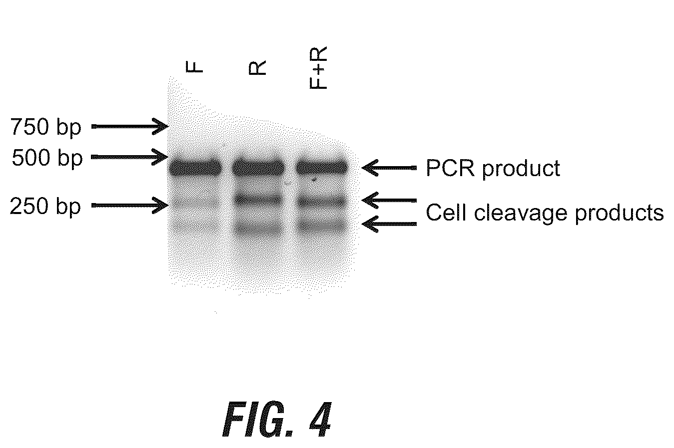 Patent US12102069 Figure 5 – 