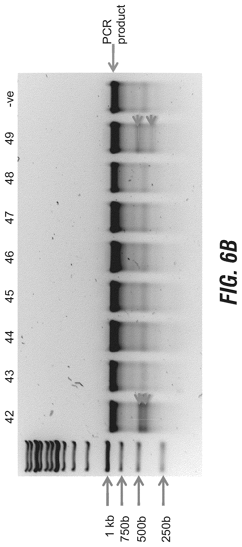 Patent US12102069 Figure 12 – 