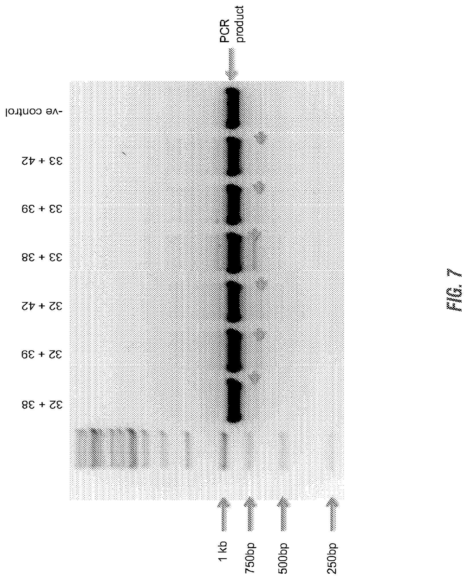 Patent US12102069 Figure 13 – 