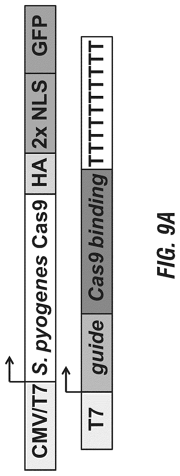 Patent US12102069 Figure 20 – 
