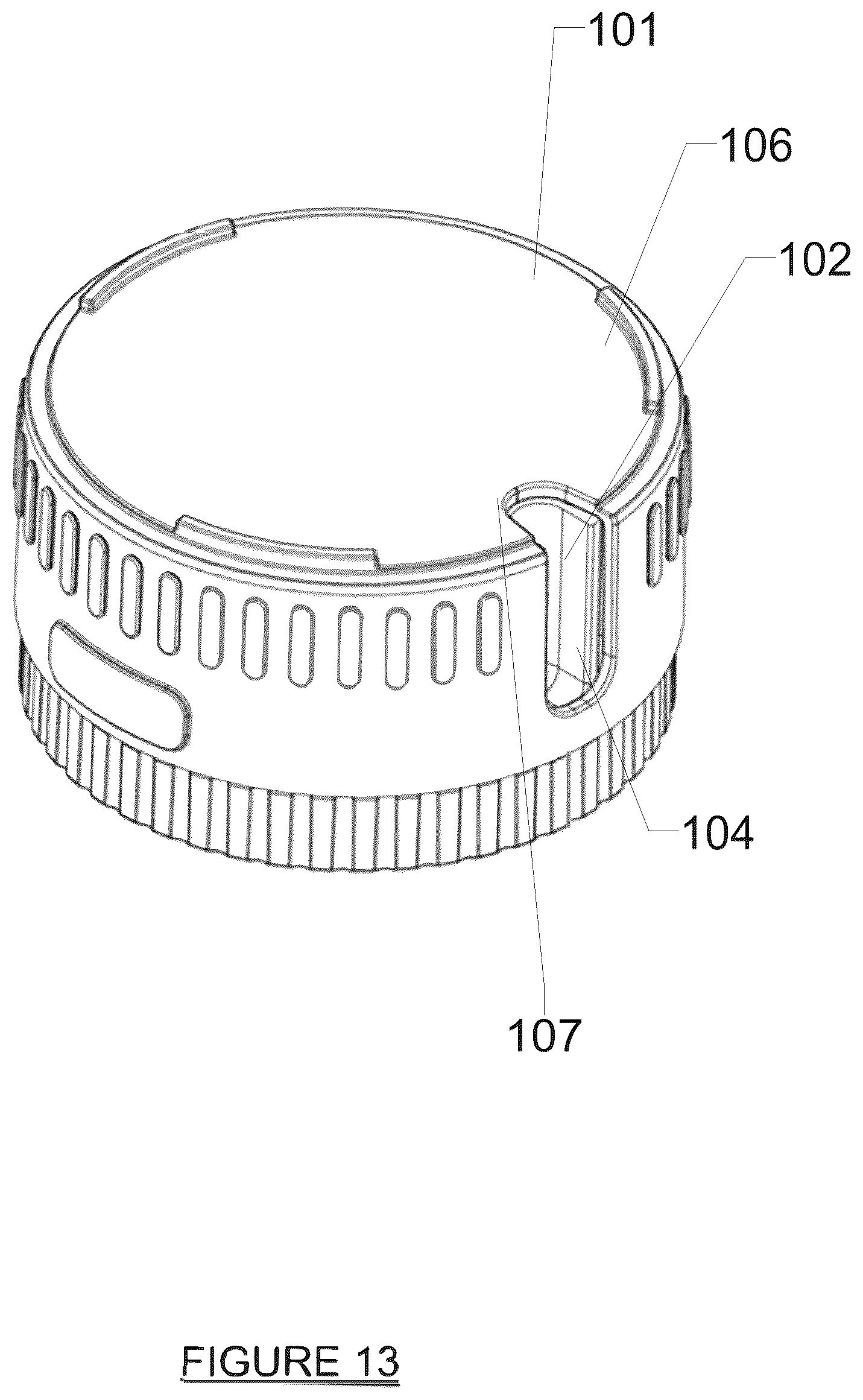 Patent US12102076 Figure 13 – Fishing bait cartridge