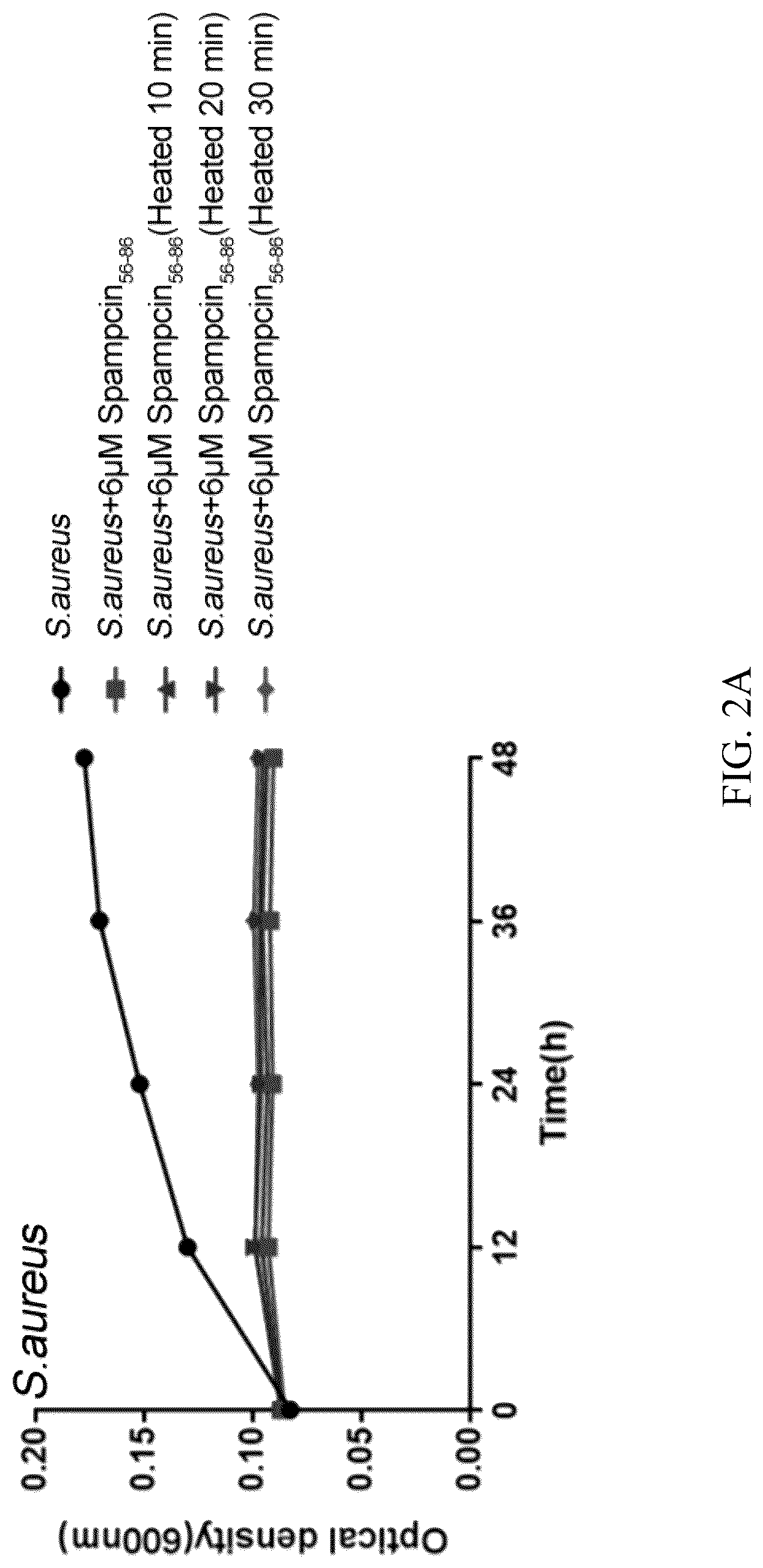 Patent US12102086 Figure 3 – Antimicrobial peptide Spampcin 56-86 from Scylla paramamosain and applications thereof