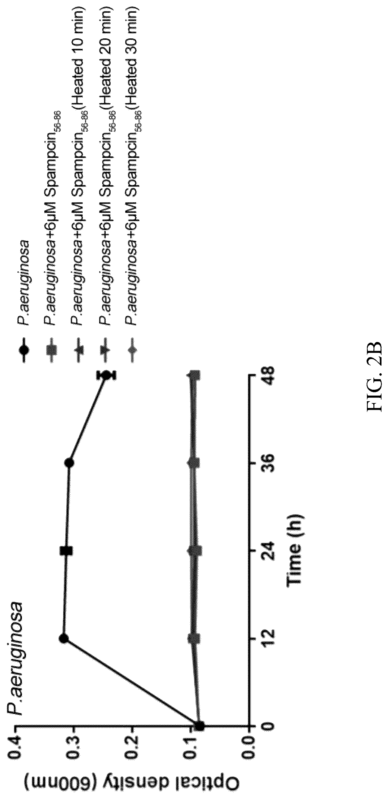 Patent US12102086 Figure 4 – Antimicrobial peptide Spampcin 56-86 from Scylla paramamosain and applications thereof