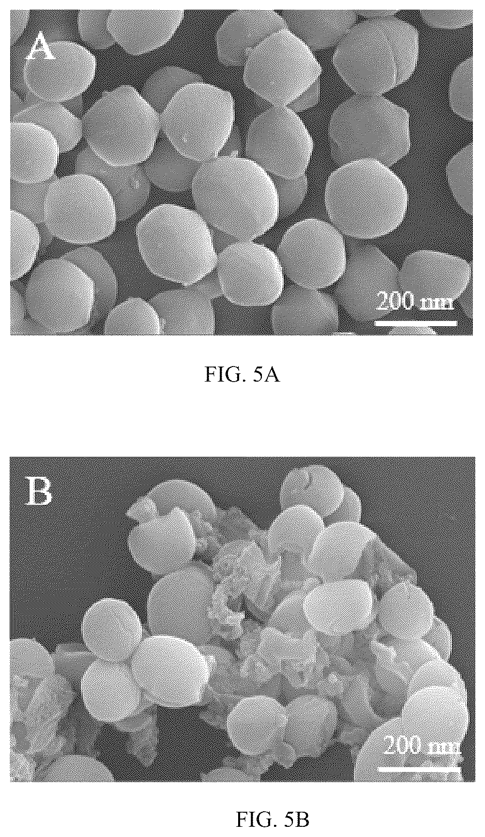 Patent US12102086 Figure 7 – Antimicrobial peptide Spampcin 56-86 from Scylla paramamosain and applications thereof