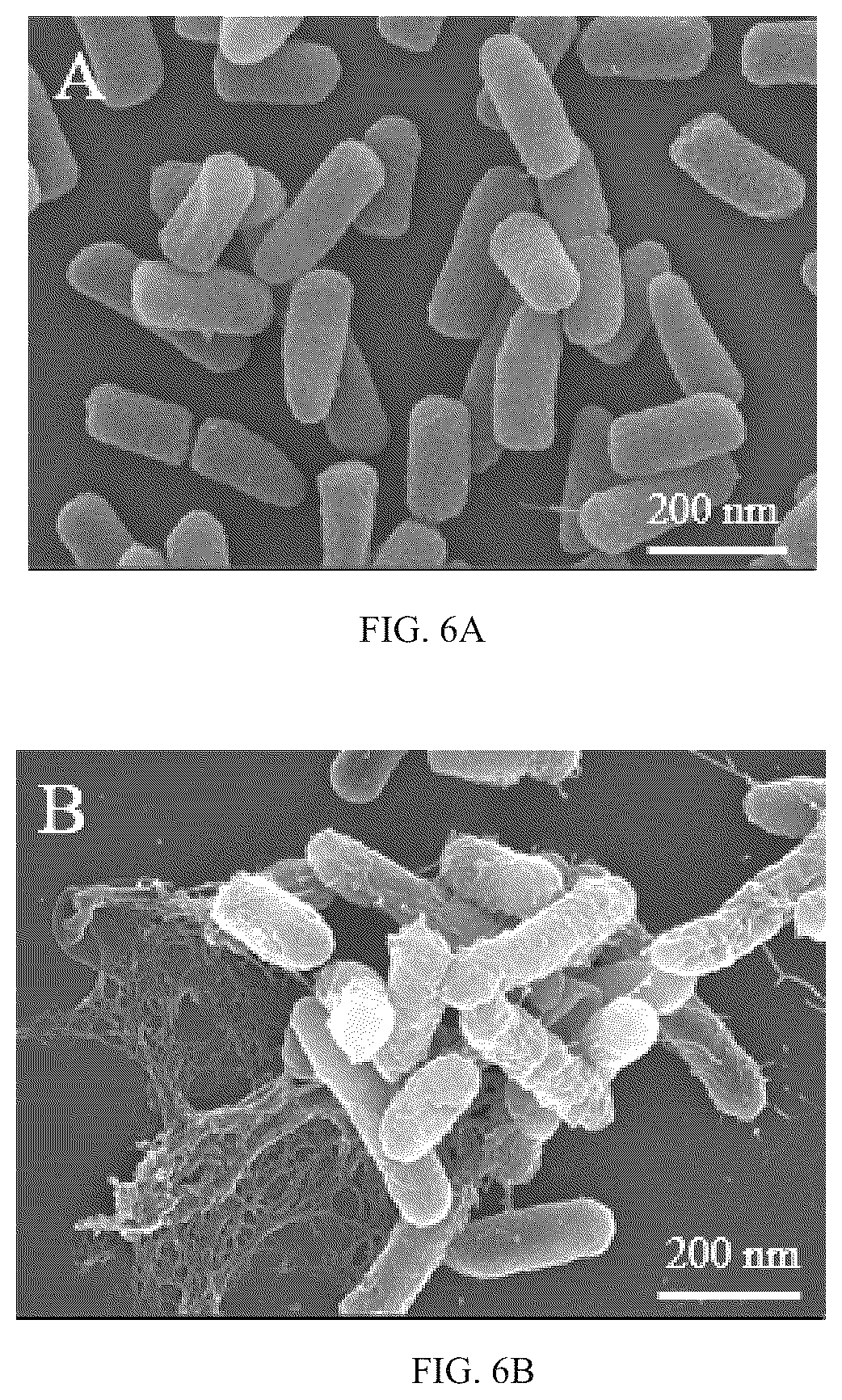 Patent US12102086 Figure 8 – Antimicrobial peptide Spampcin 56-86 from Scylla paramamosain and applications thereof