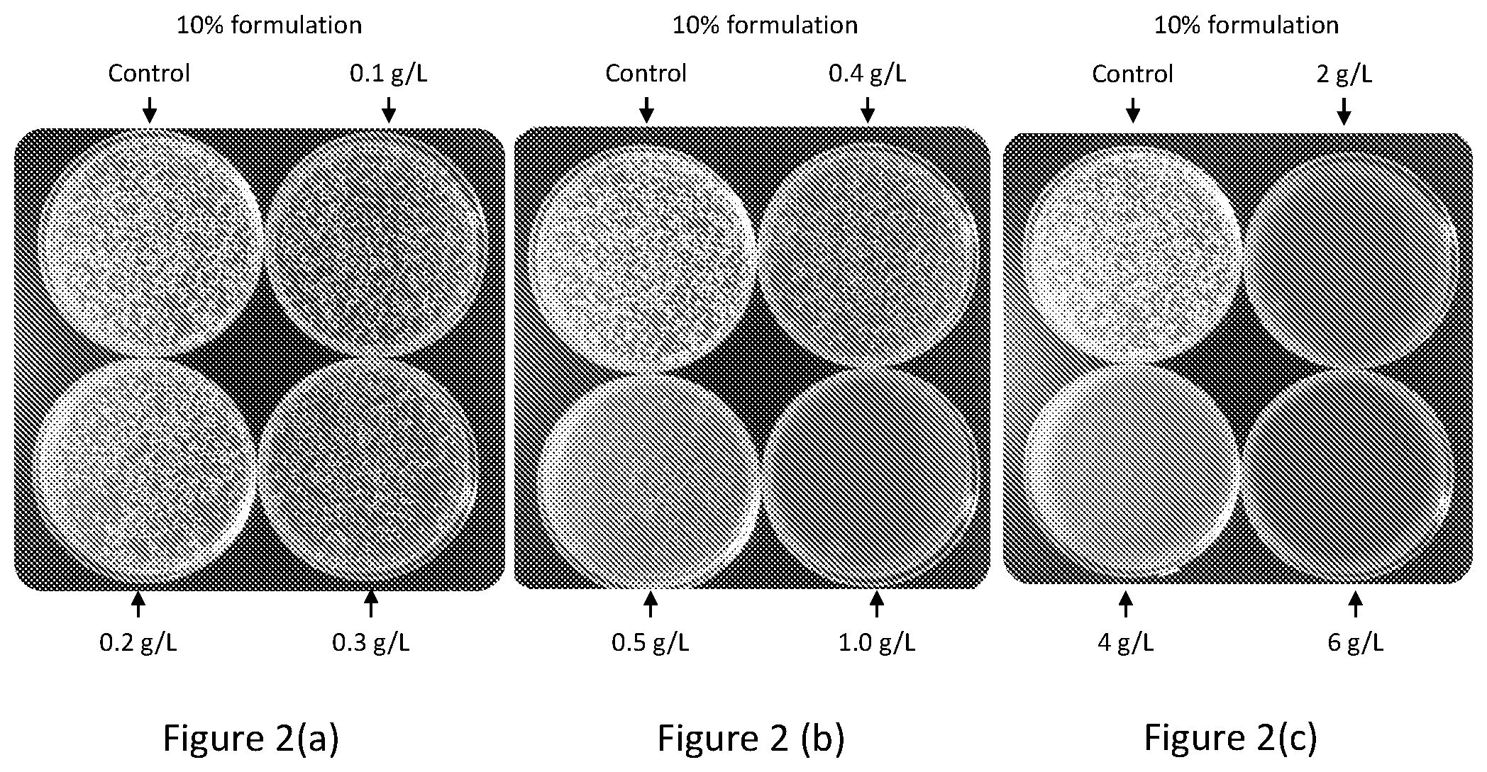 Patent US12102088 Figure 2 – Tannin formulations for agricultural use in plants