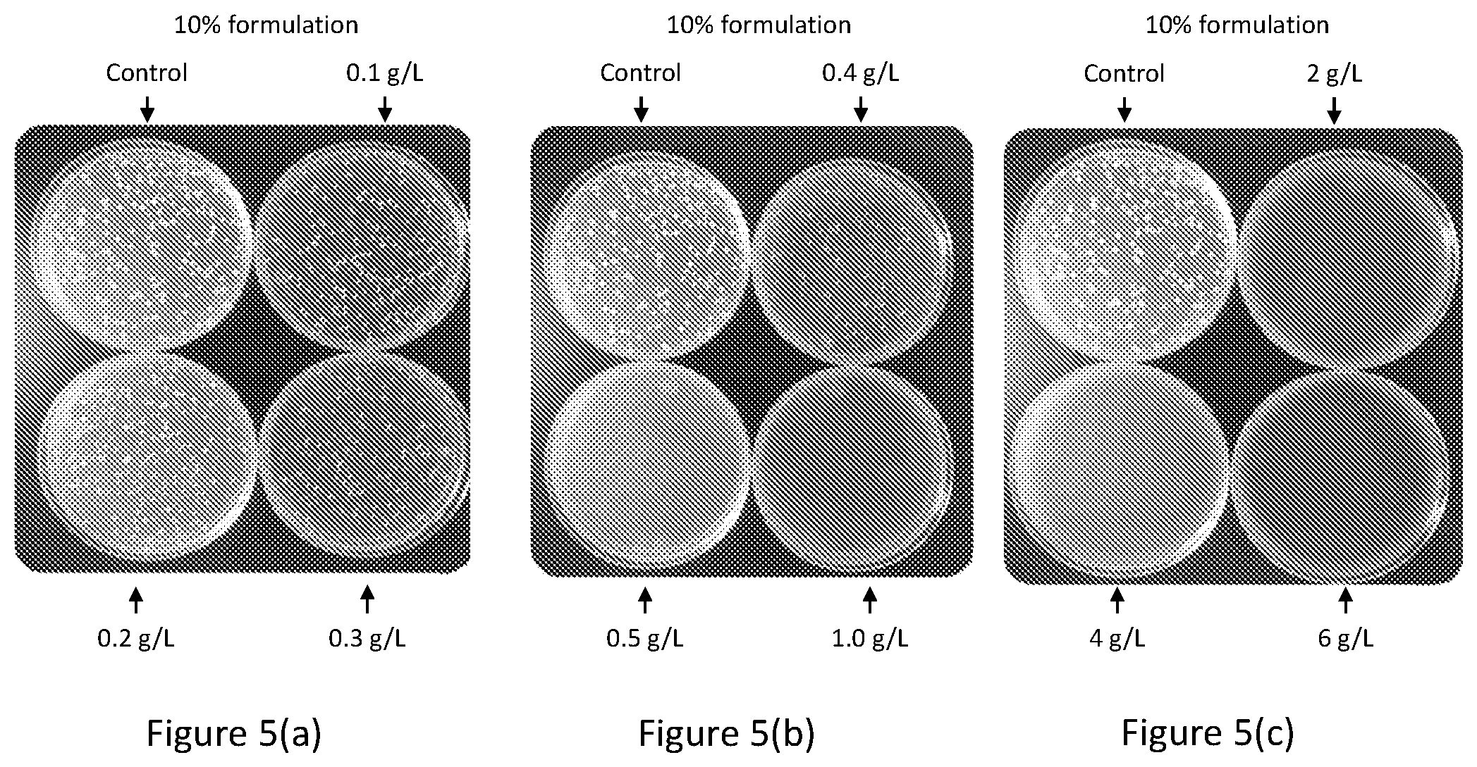 Patent US12102088 Figure 5 – Tannin formulations for agricultural use in plants
