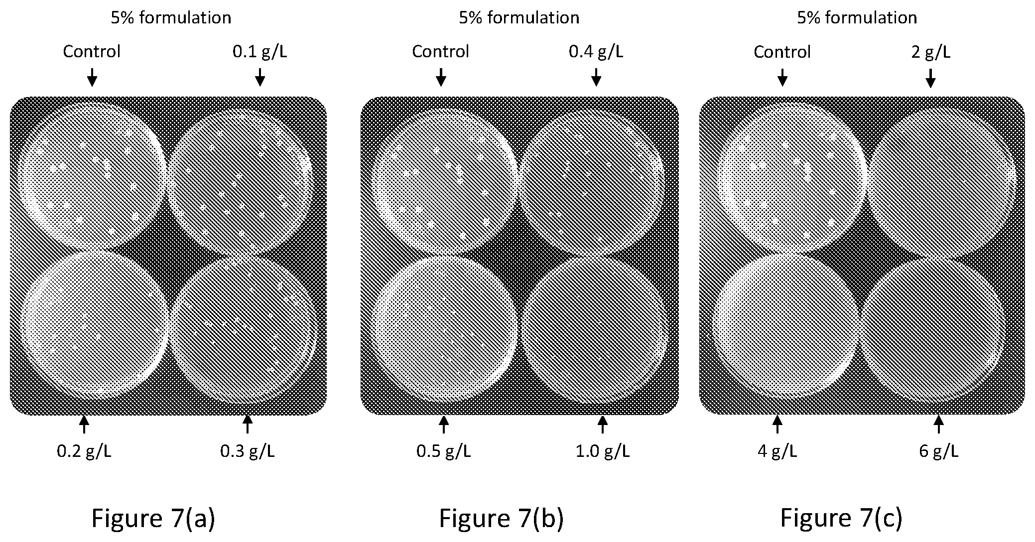 Patent US12102088 Figure 7 – Tannin formulations for agricultural use in plants