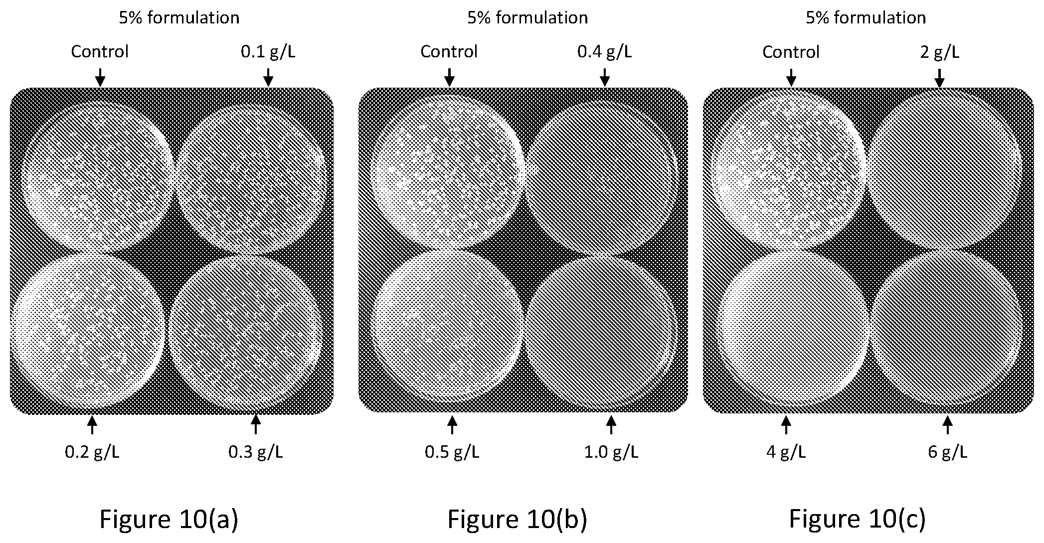 Patent US12102088 Figure 10 – Tannin formulations for agricultural use in plants