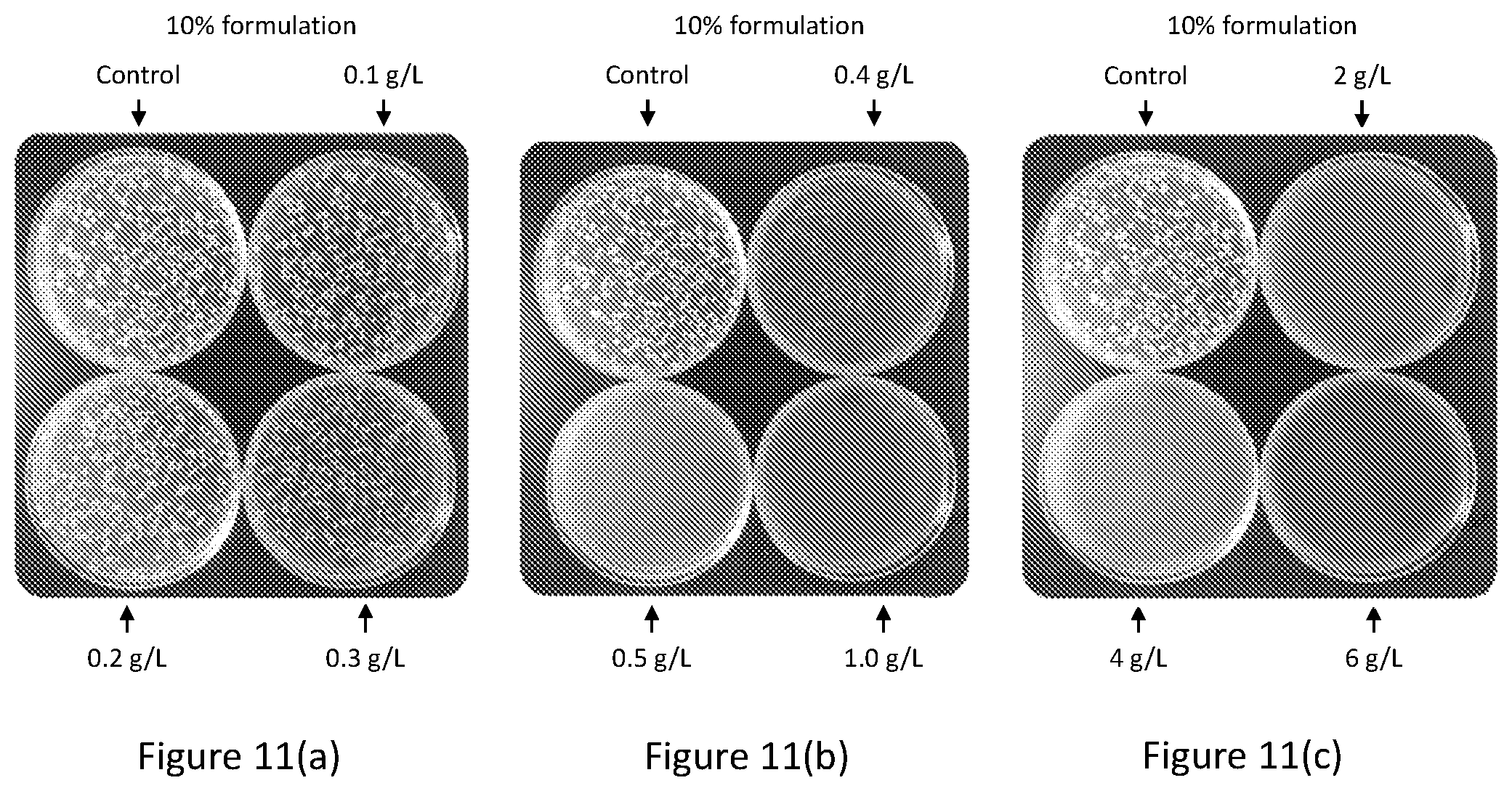 Patent US12102088 Figure 11 – Tannin formulations for agricultural use in plants