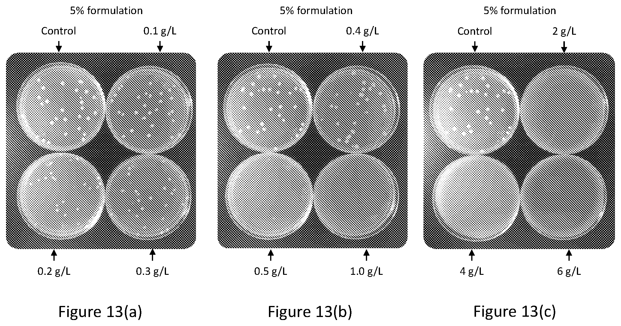Patent US12102088 Figure 13 – Tannin formulations for agricultural use in plants