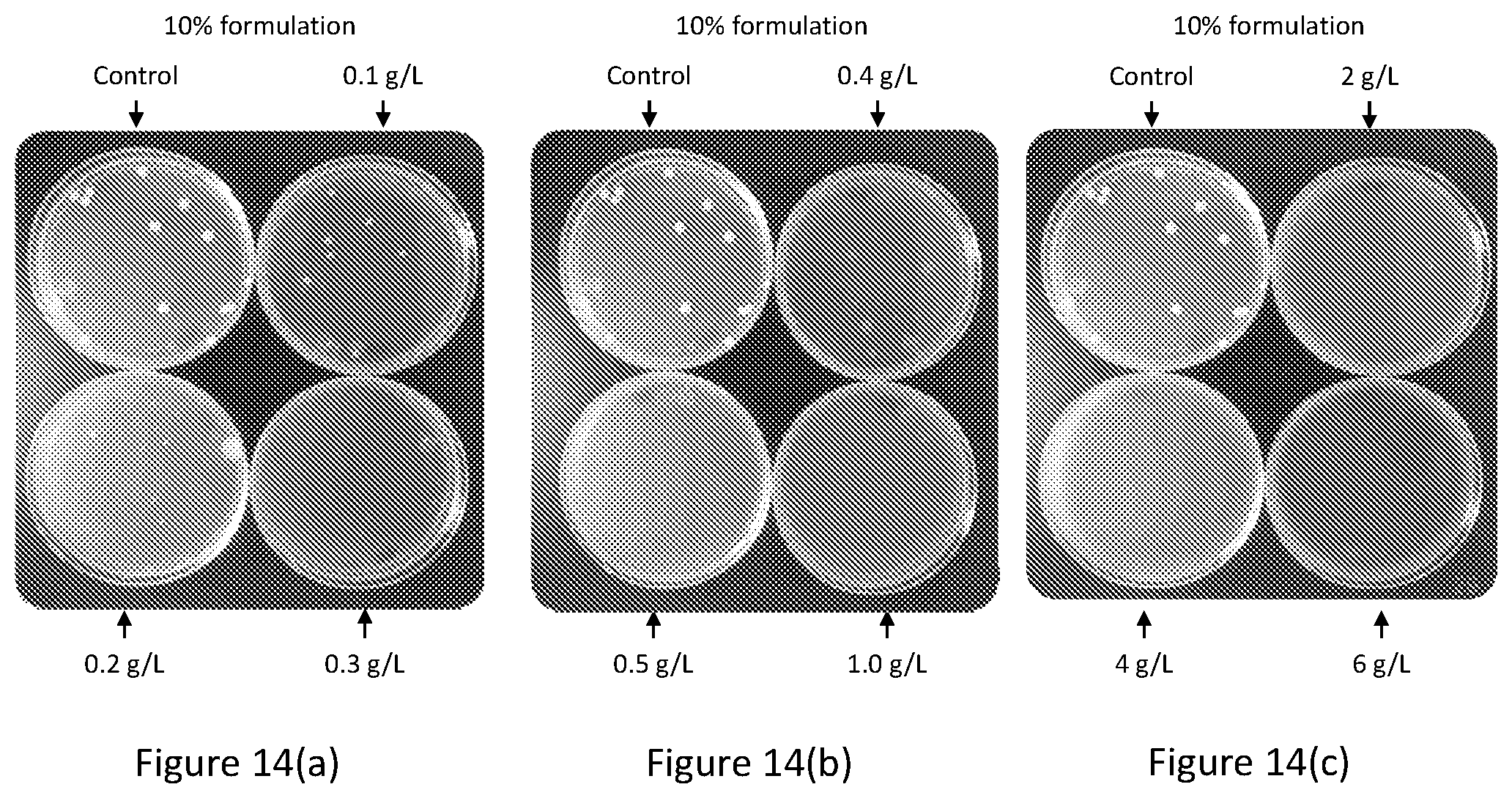 Patent US12102088 Figure 14 – Tannin formulations for agricultural use in plants