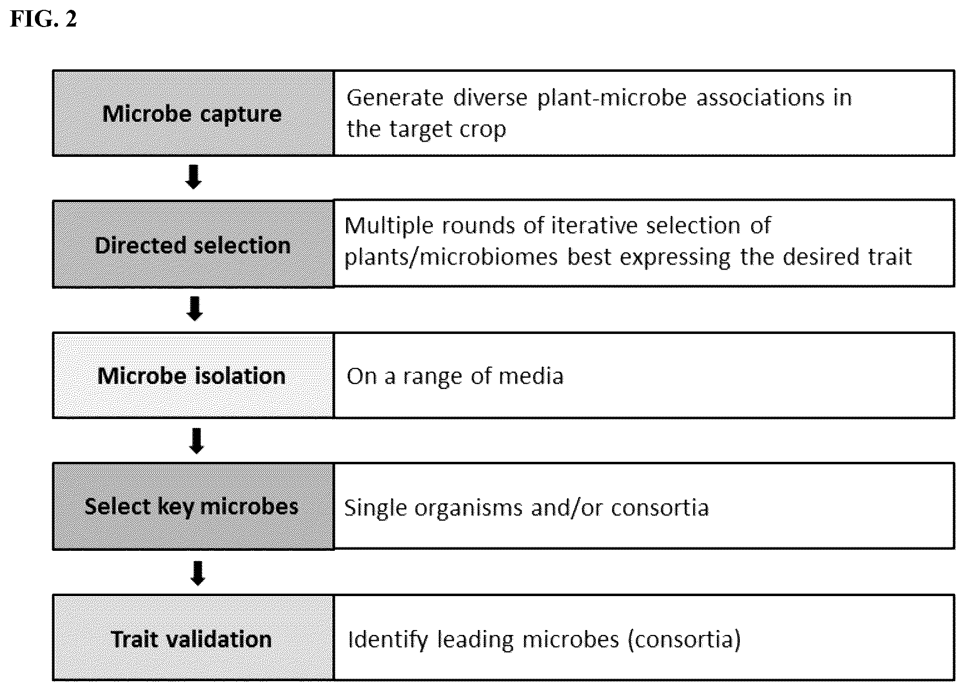Patent US12102090 Figure 2 – Agriculturally beneficial microbes, microbial compositions, and consortia