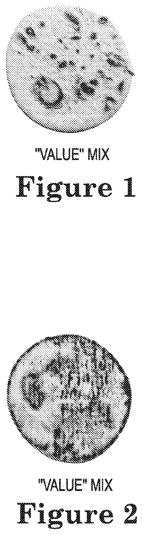 Patent US12102093 Figure 1 – Flavored flatbread