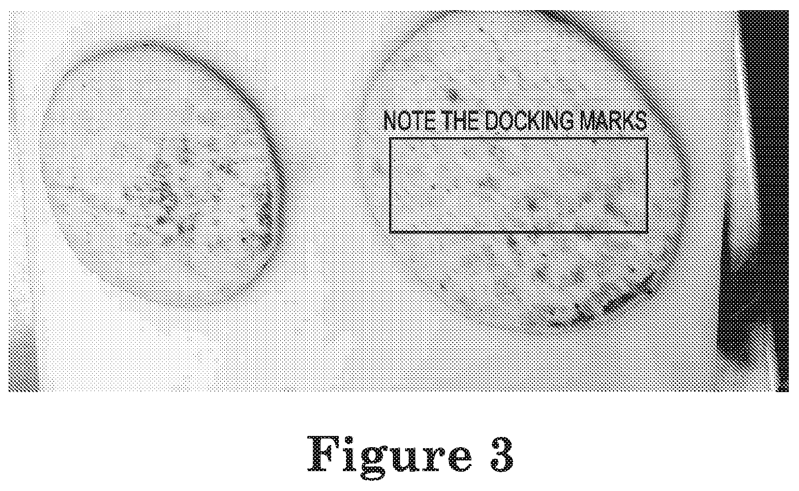 Patent US12102093 Figure 2 – Flavored flatbread