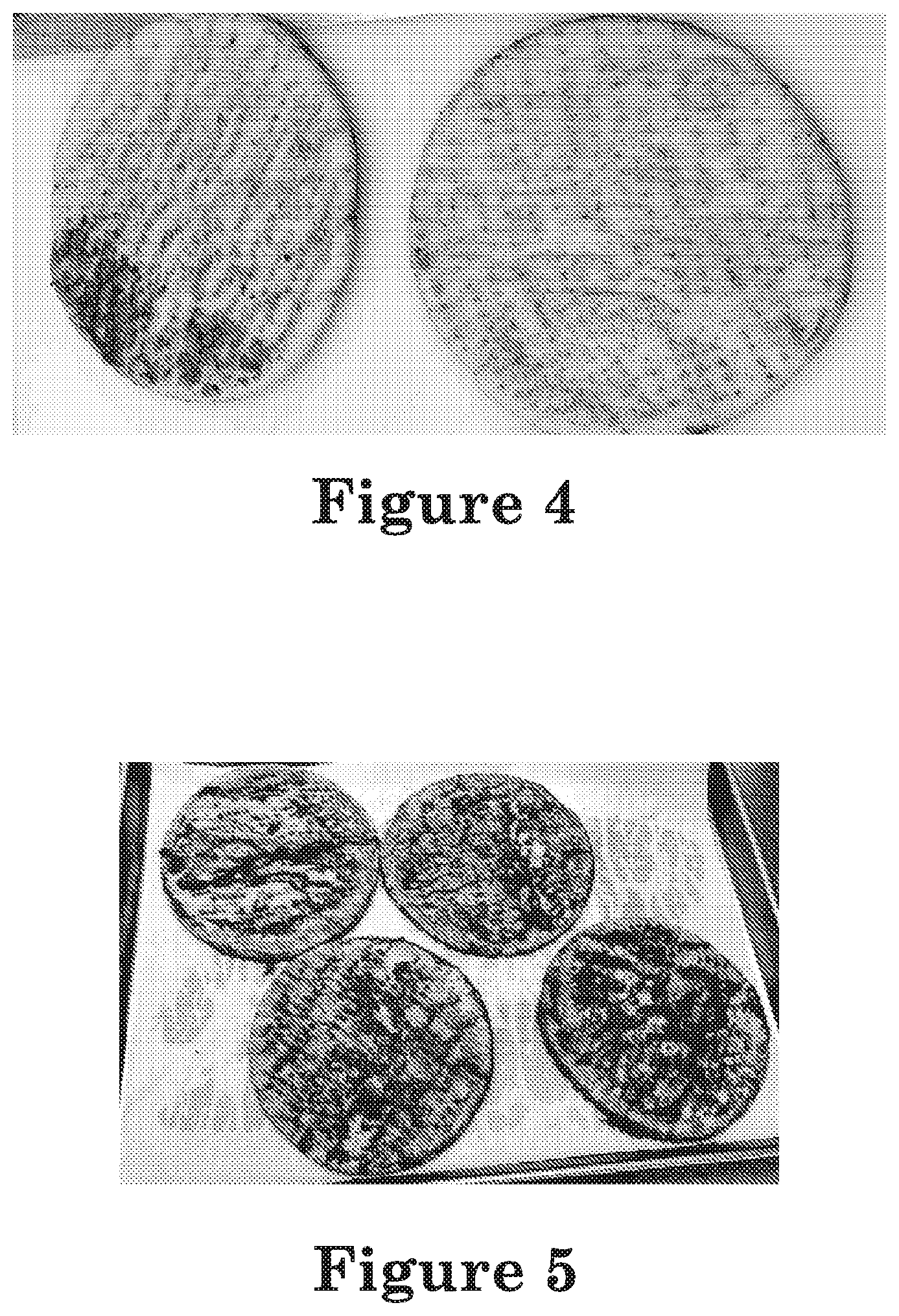 Patent US12102093 Figure 3 – Flavored flatbread