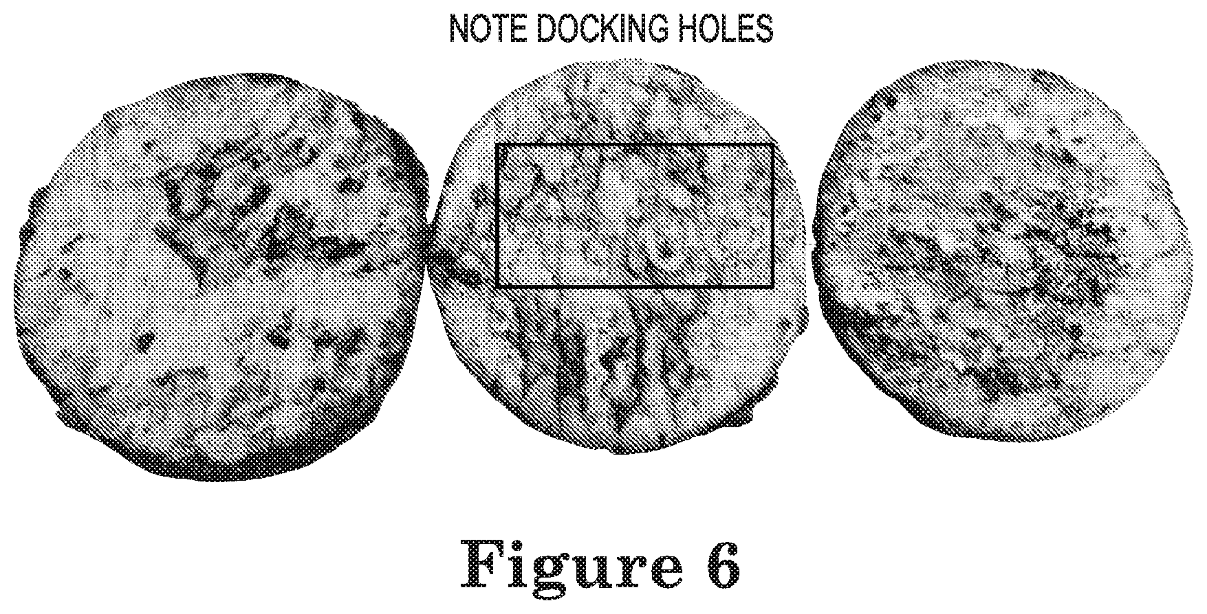 Patent US12102093 Figure 4 – Flavored flatbread
