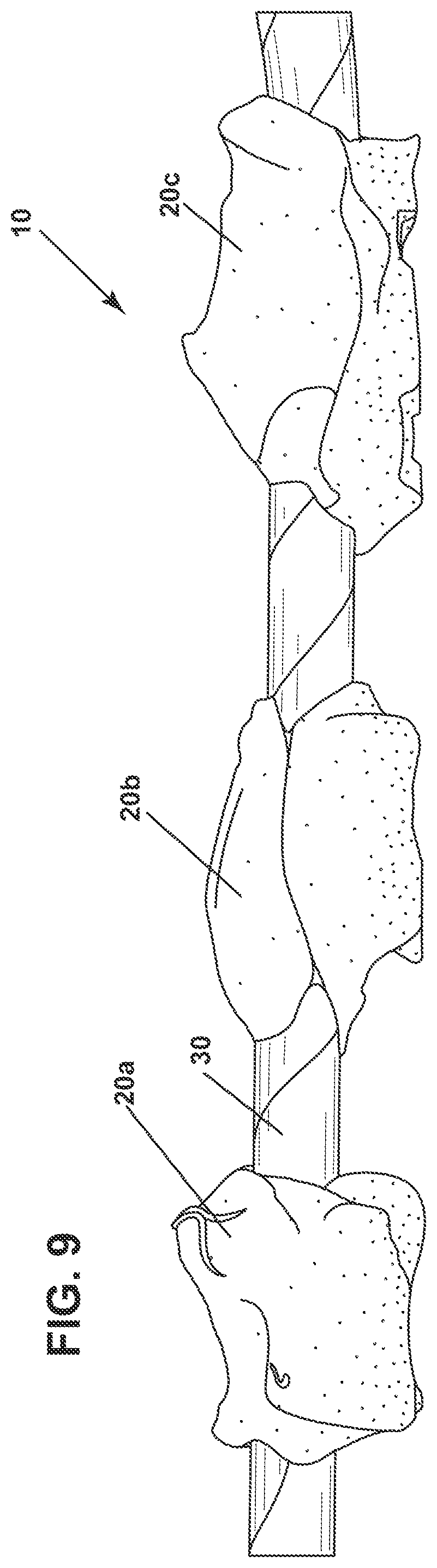 Patent US12102102 Figure 9 – Pet treat