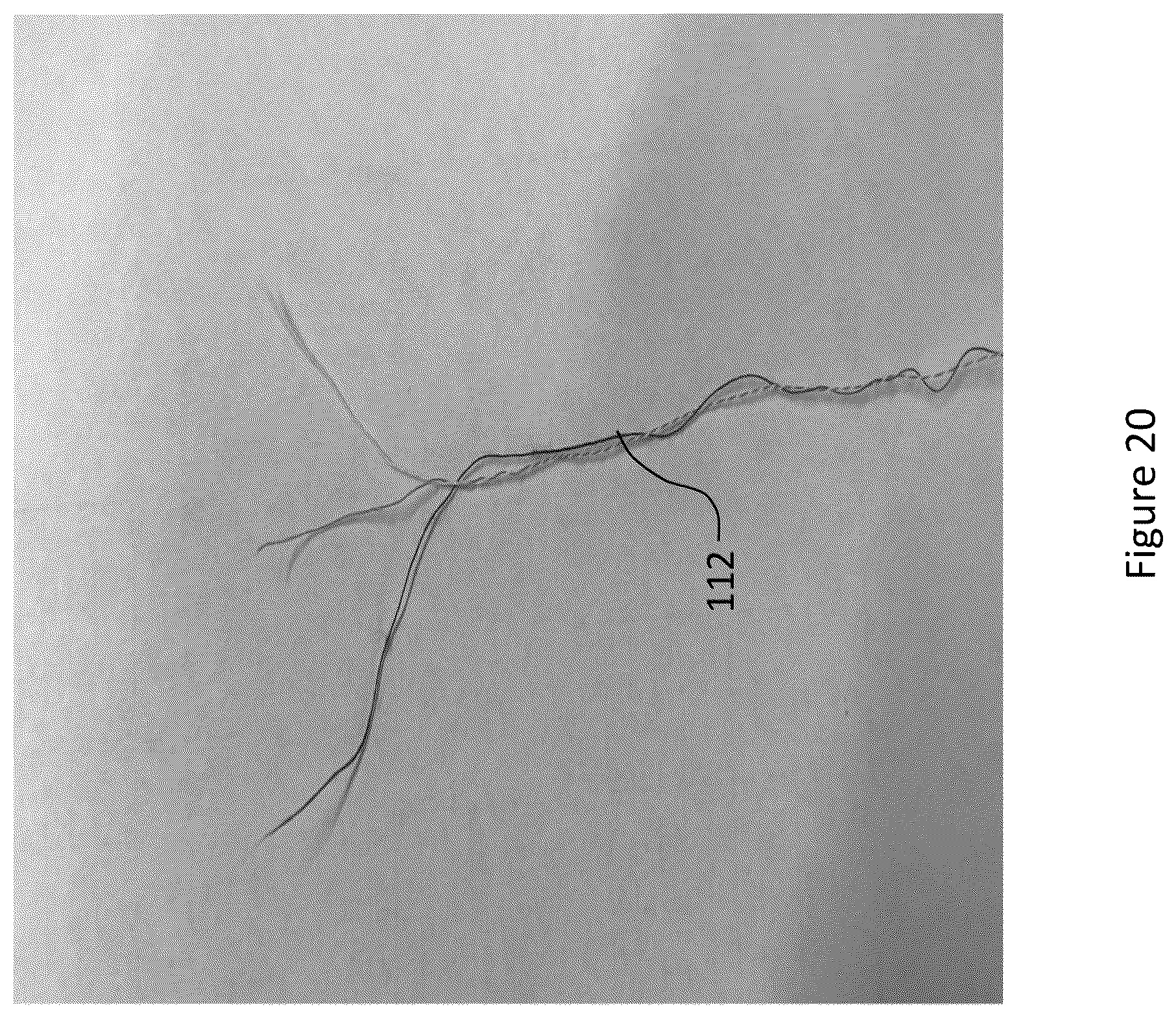 Patent US12102145 Figure 20 – Material and apparel that positively affect the health and wellbeing of a mammal