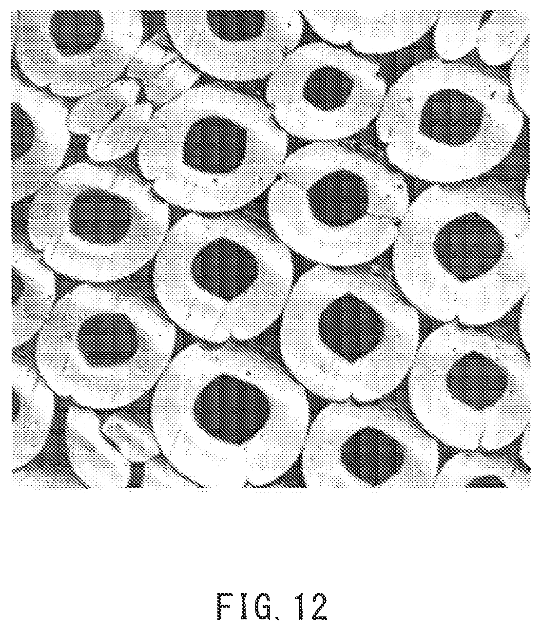 Patent US12102151 Figure 9 – Fiber for artificial hair and hair ornament product including same