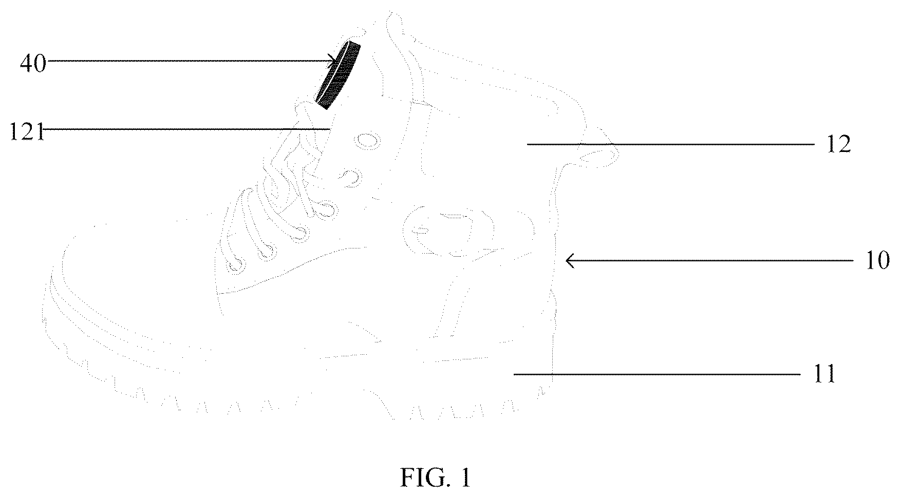 Patent US12102181 Figure 1 – Heating shoe